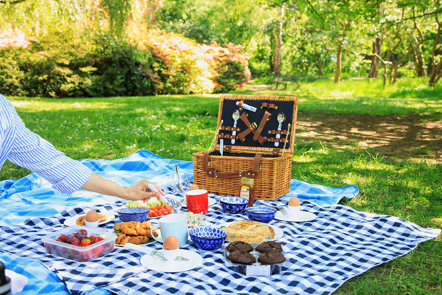 YaleWomen DC: Summer Picnic at Rock Creek
