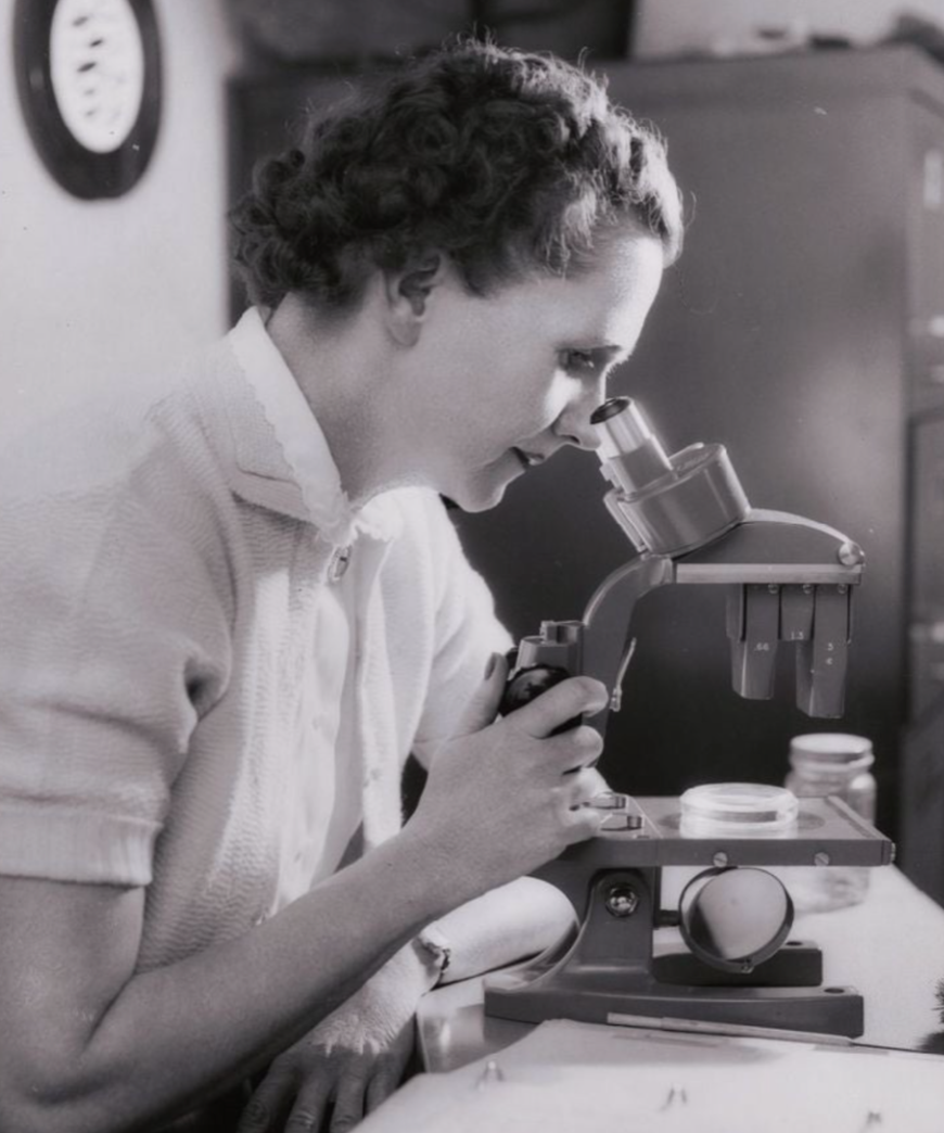Beinecke Tour of "Silent Springs, Windswept Seas" Rachel Carson Exhibit