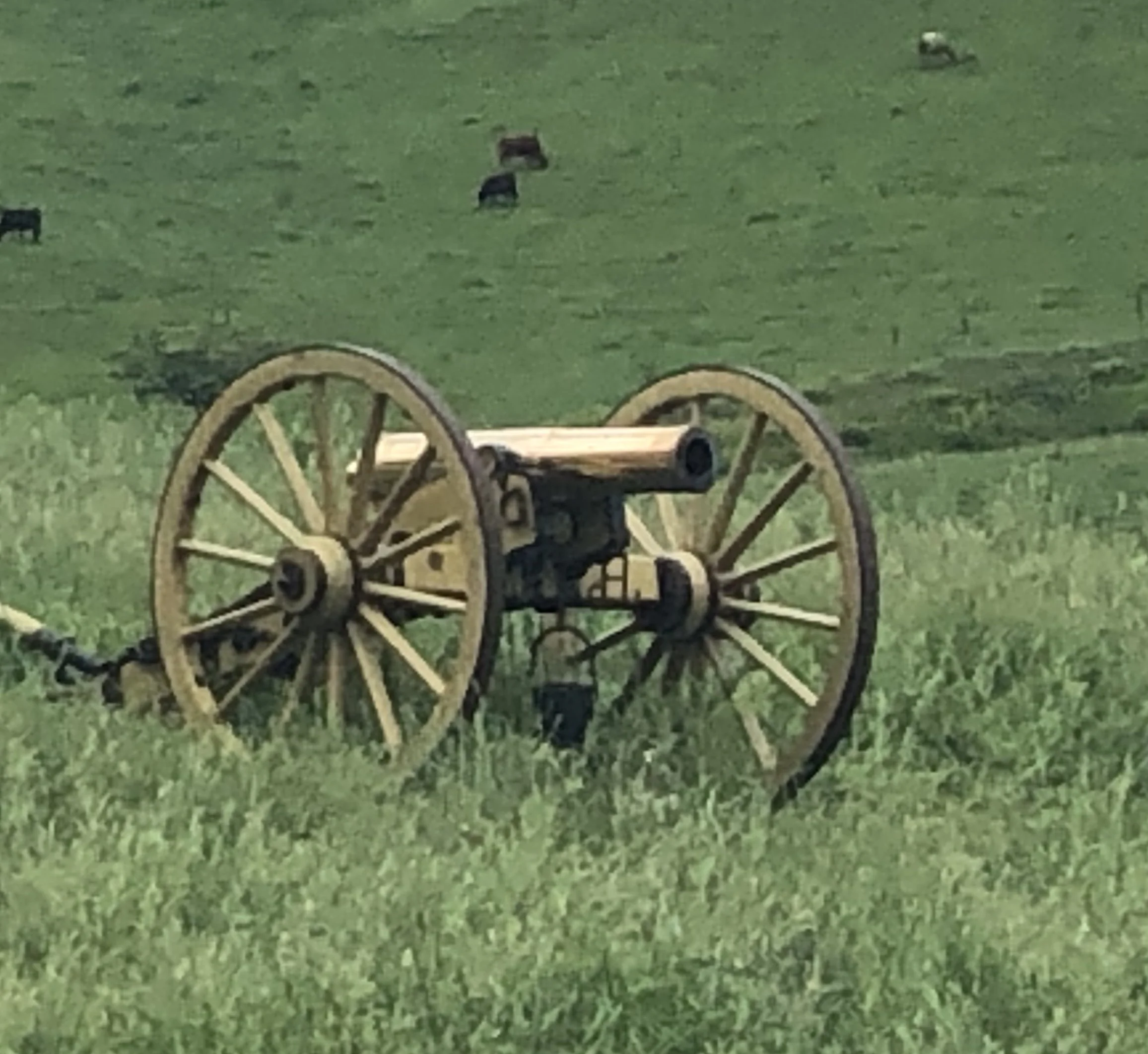 Miss Melinda, a cannon representing living history used for reenactments of the American Revolution and the Civil War.