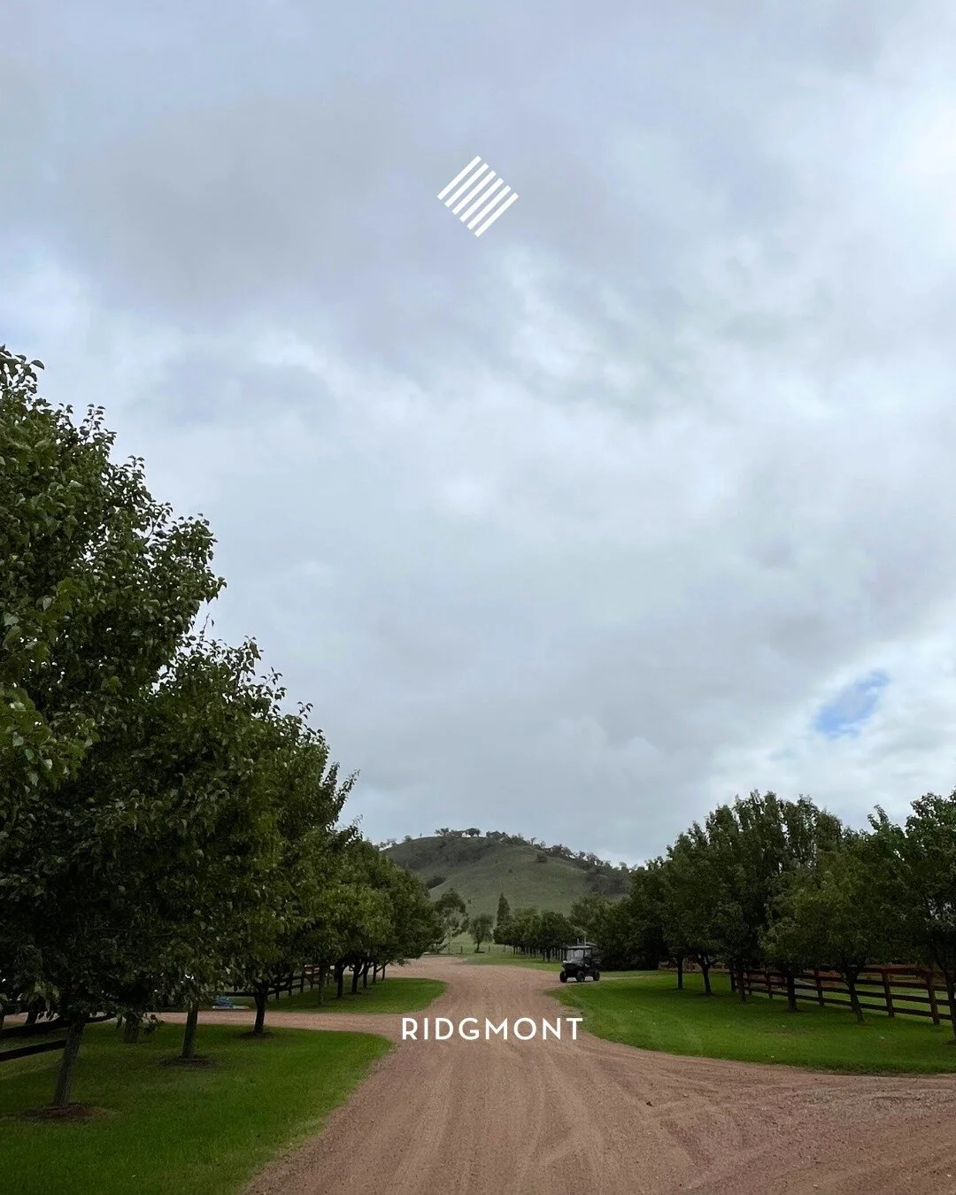 Contact — RIDGMONT