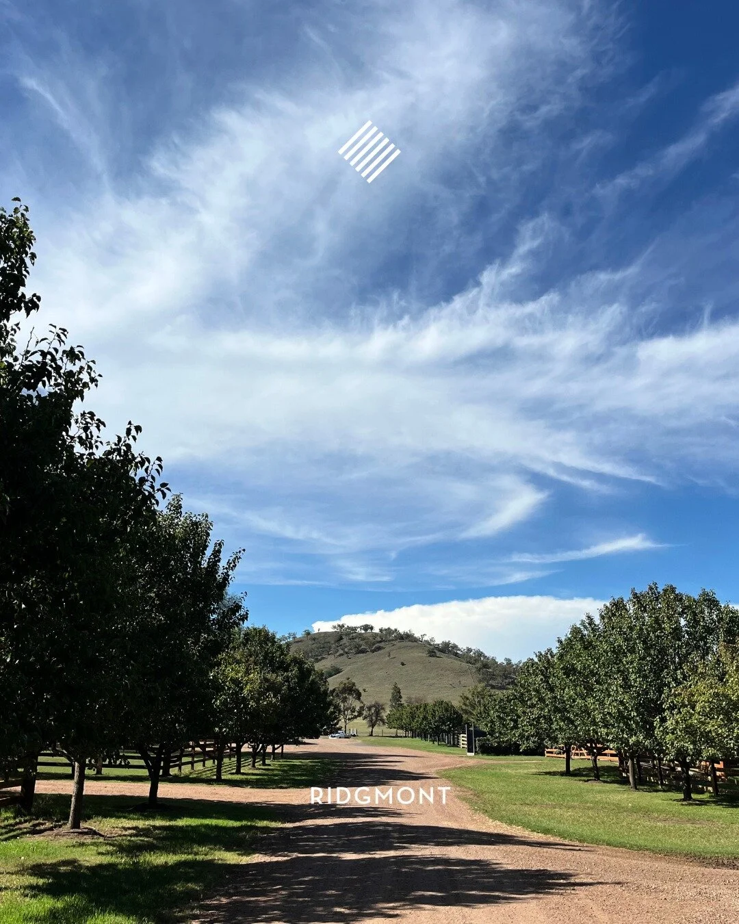 Contact — RIDGMONT