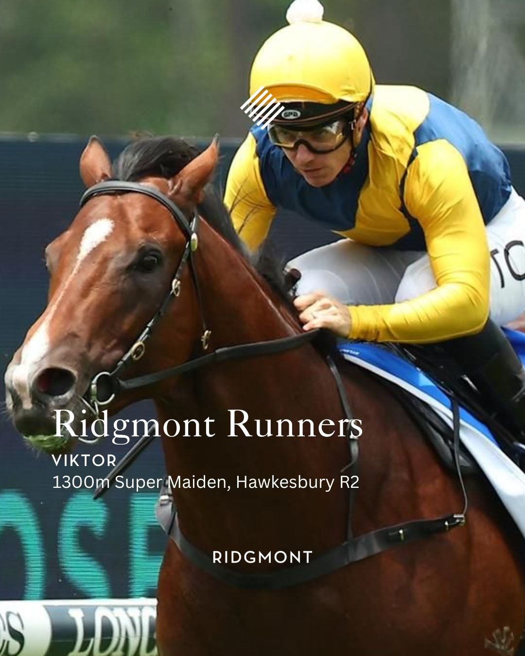 Contact — RIDGMONT