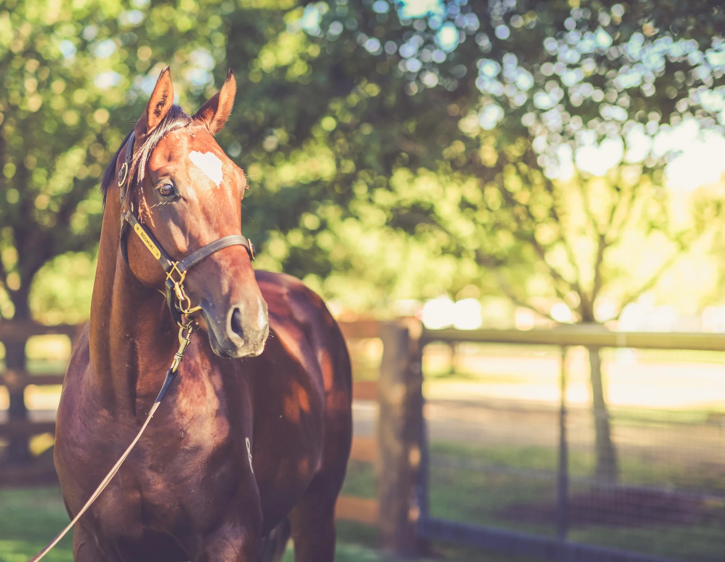 EXTRA_Deep Field x Very Clever_DSC_2312-min.jpg