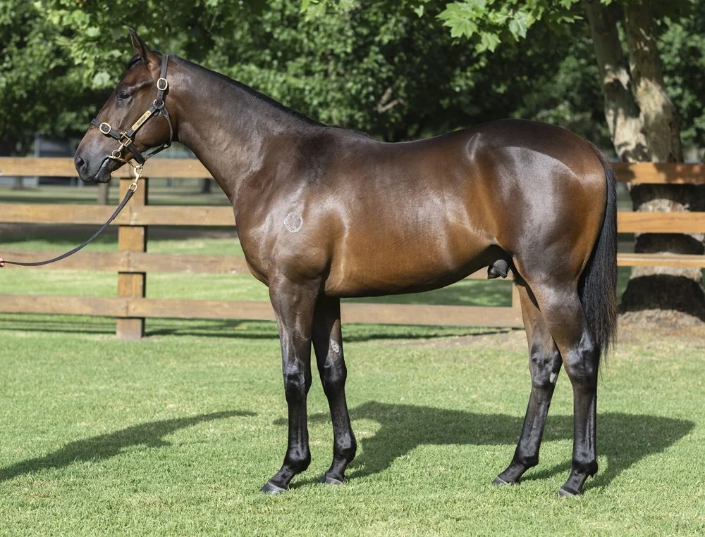 20012305 14105c89-d93e-4637-8d6e-f736dc414cf1.jpg