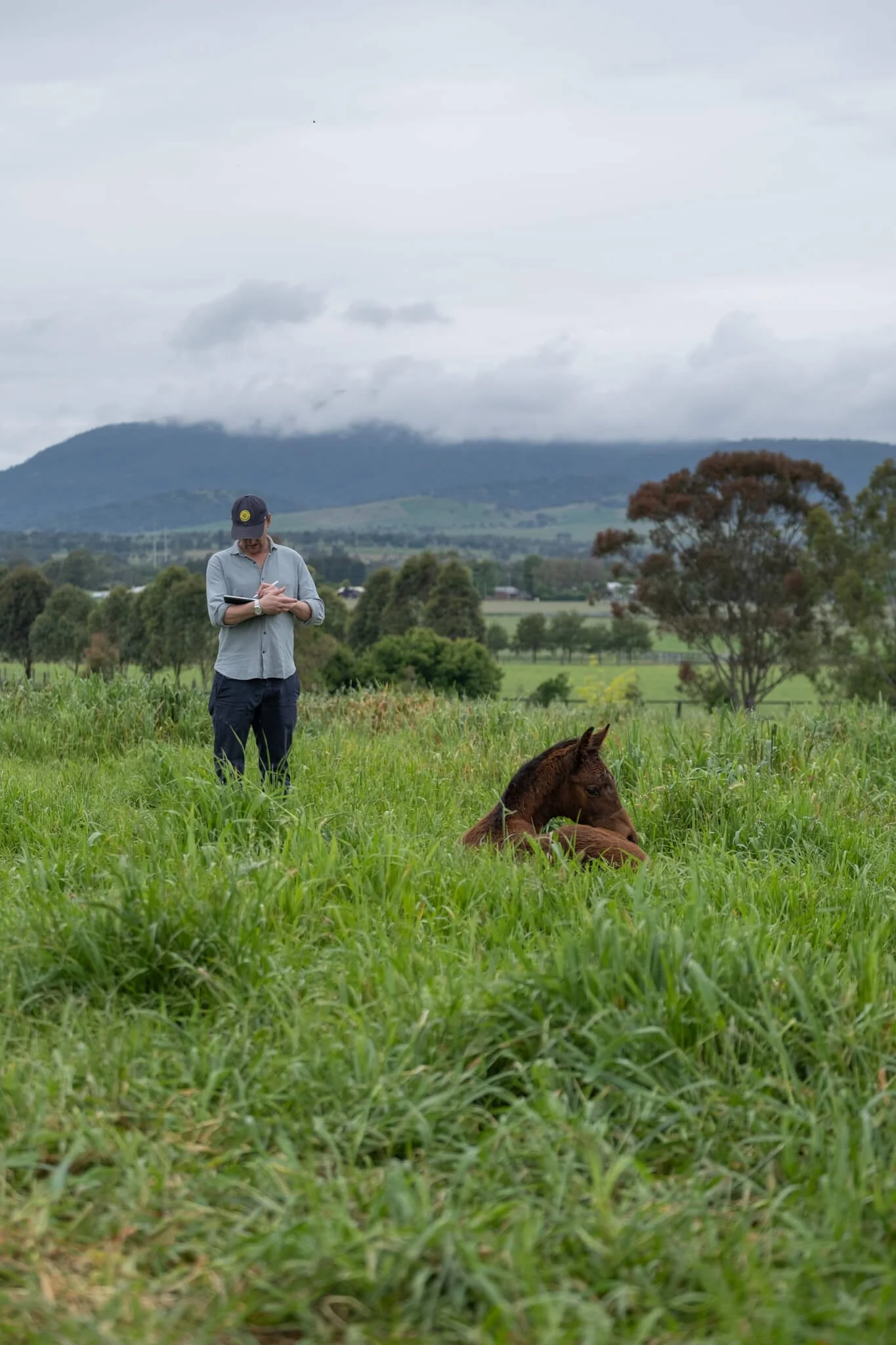 Who We Are — RIDGMONT