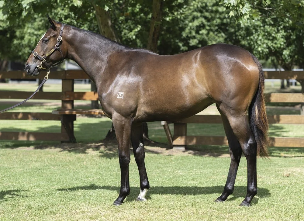 20012327 9438ff17-b7cf-4887-b3b1-06fa70c33281.jpg