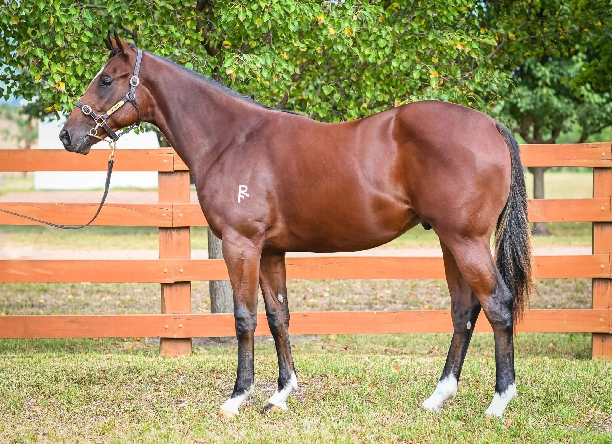 Exceed and Excel x Urban Rocket.jpg