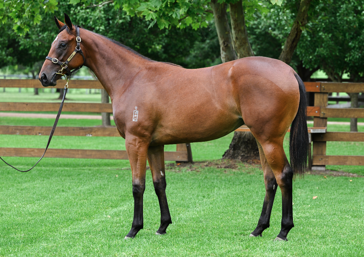 Screenshot 2025-01-31 at 08.49.41.png