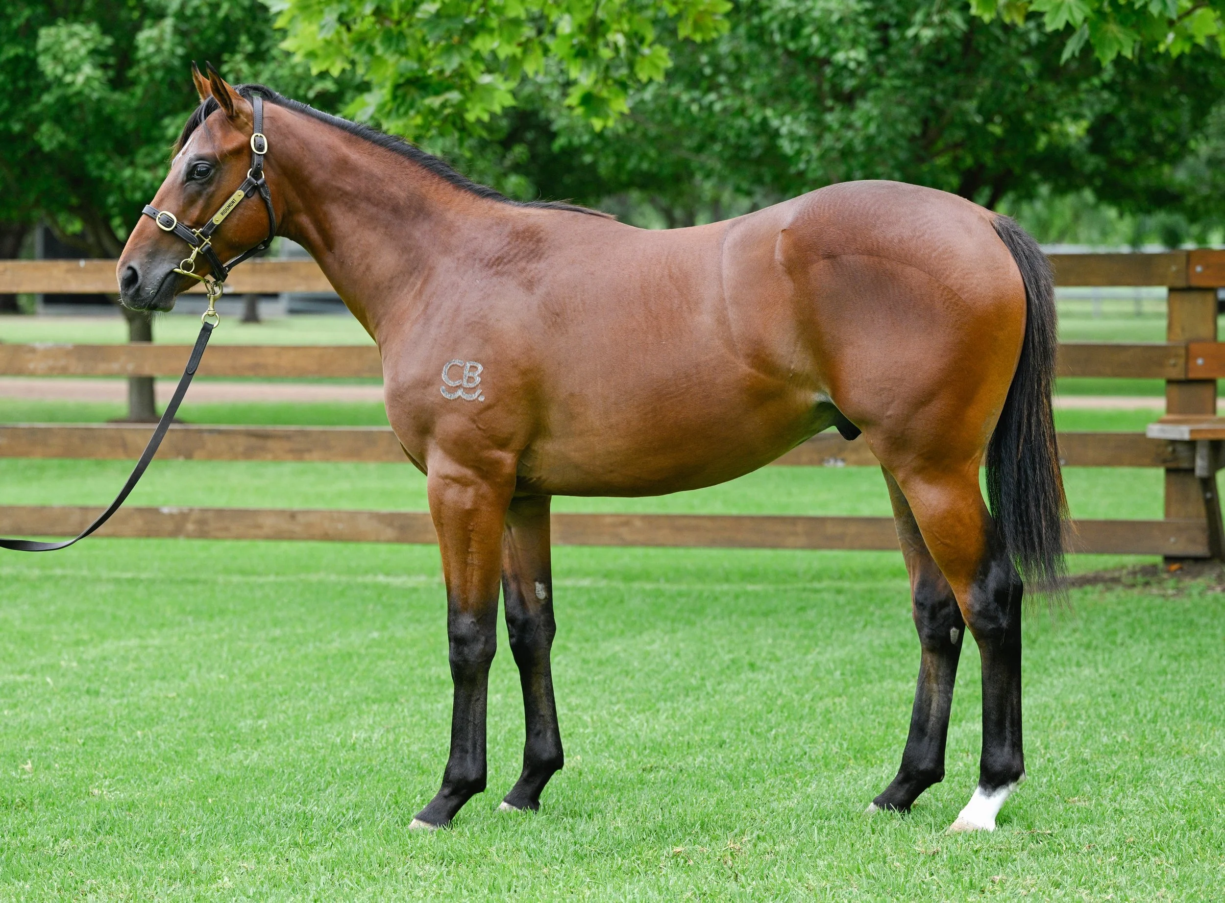 LOT 229 Exceed and Excel x Florent__DSC7880.jpg