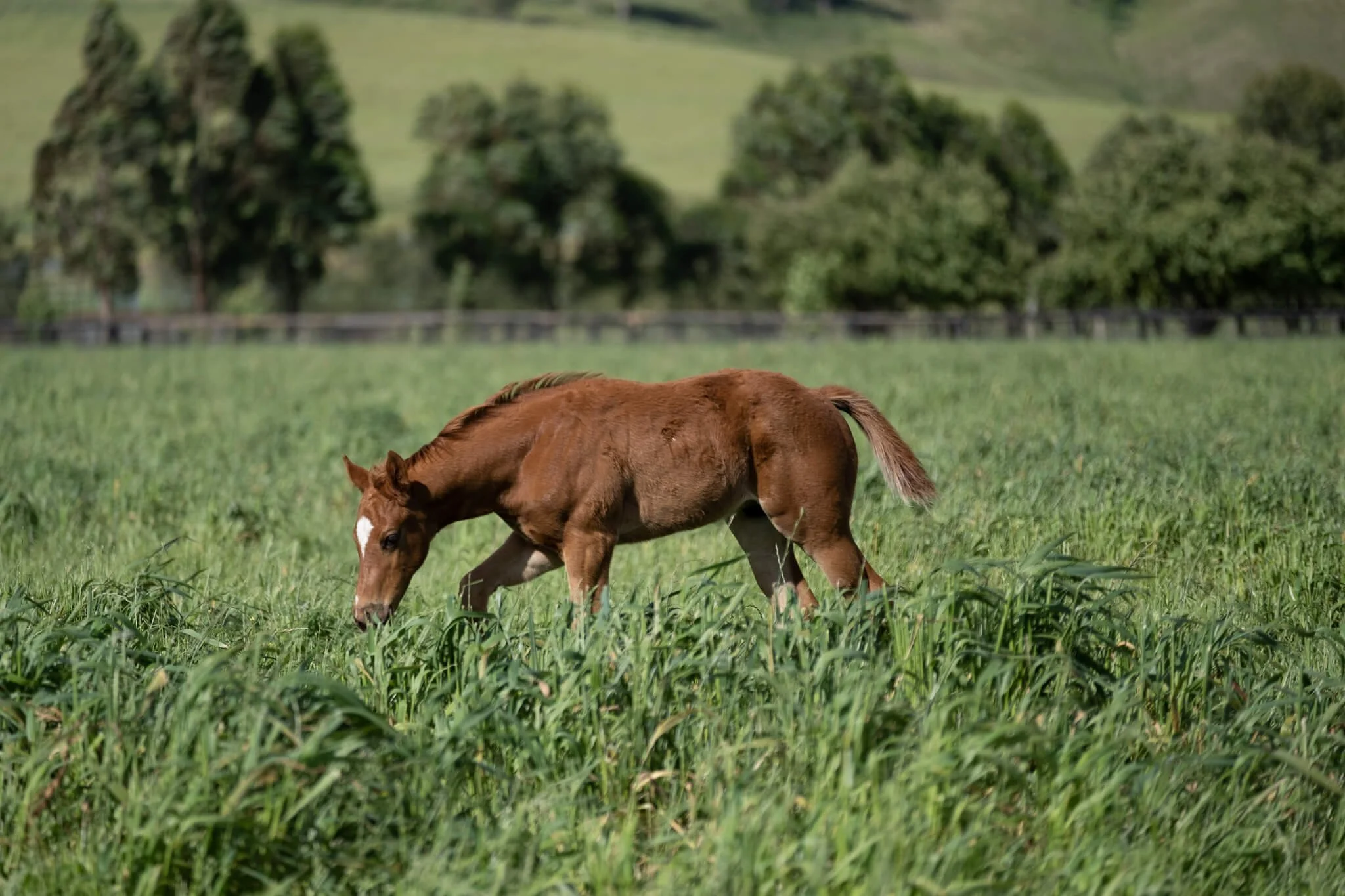 Who We Are — RIDGMONT