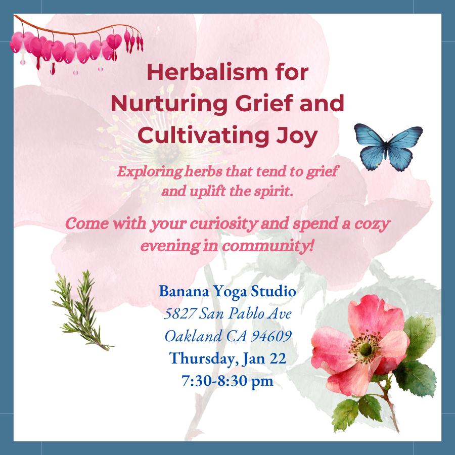 Herbalism for Nurturing Grief and Cultivating Joy