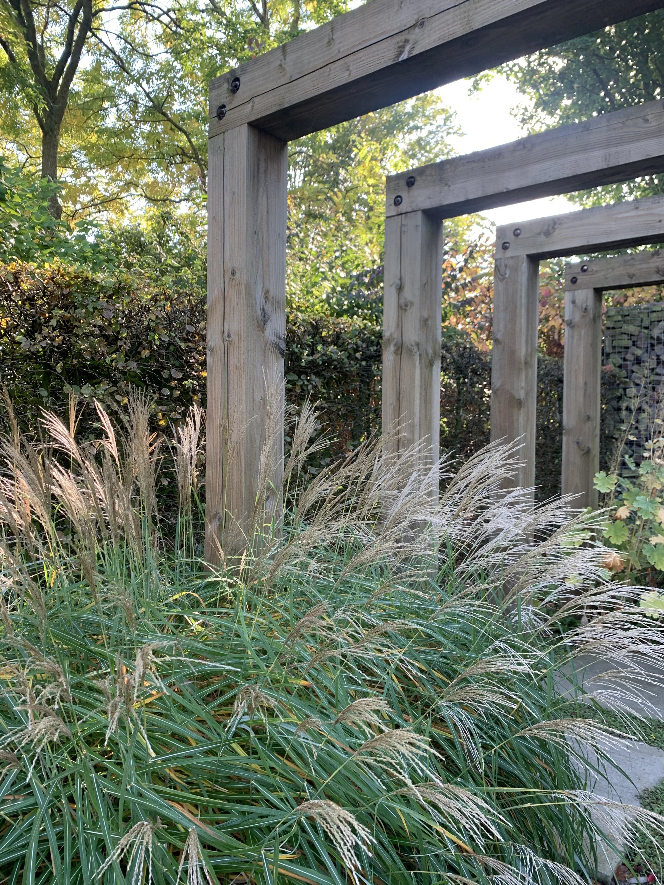 A wooden railing with tall green grass and plants in the foreground, trees with green and yellow leaves in the background, and sunlight filtering through the foliage.