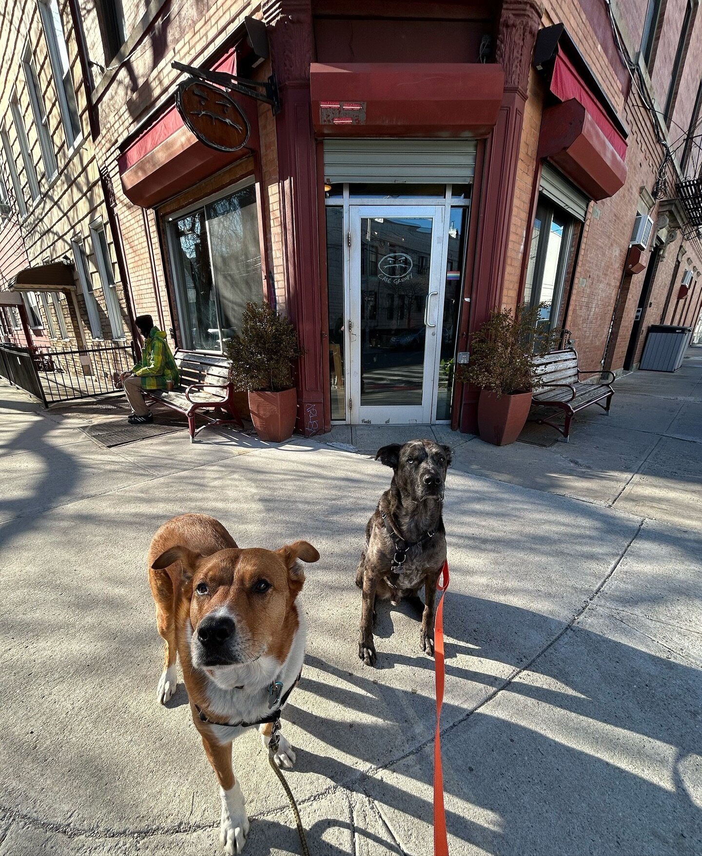 Grumpy boys ☕️🐾🧡 @cafegrumpy