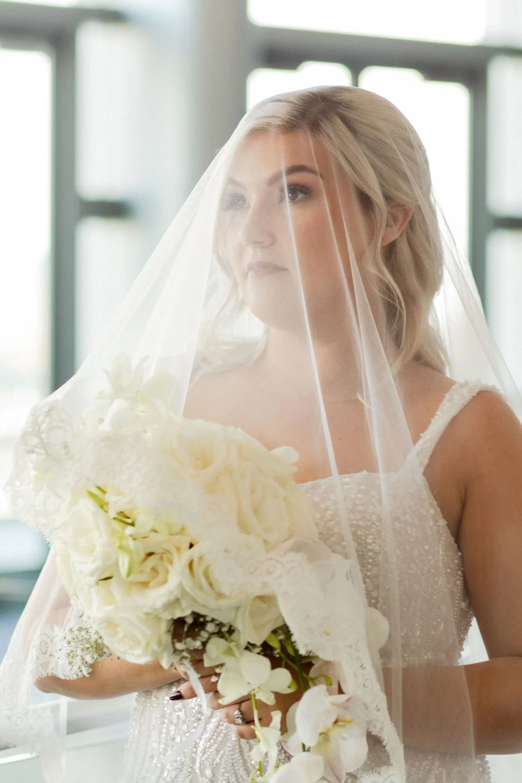 blusher mantilla 4 .jpg