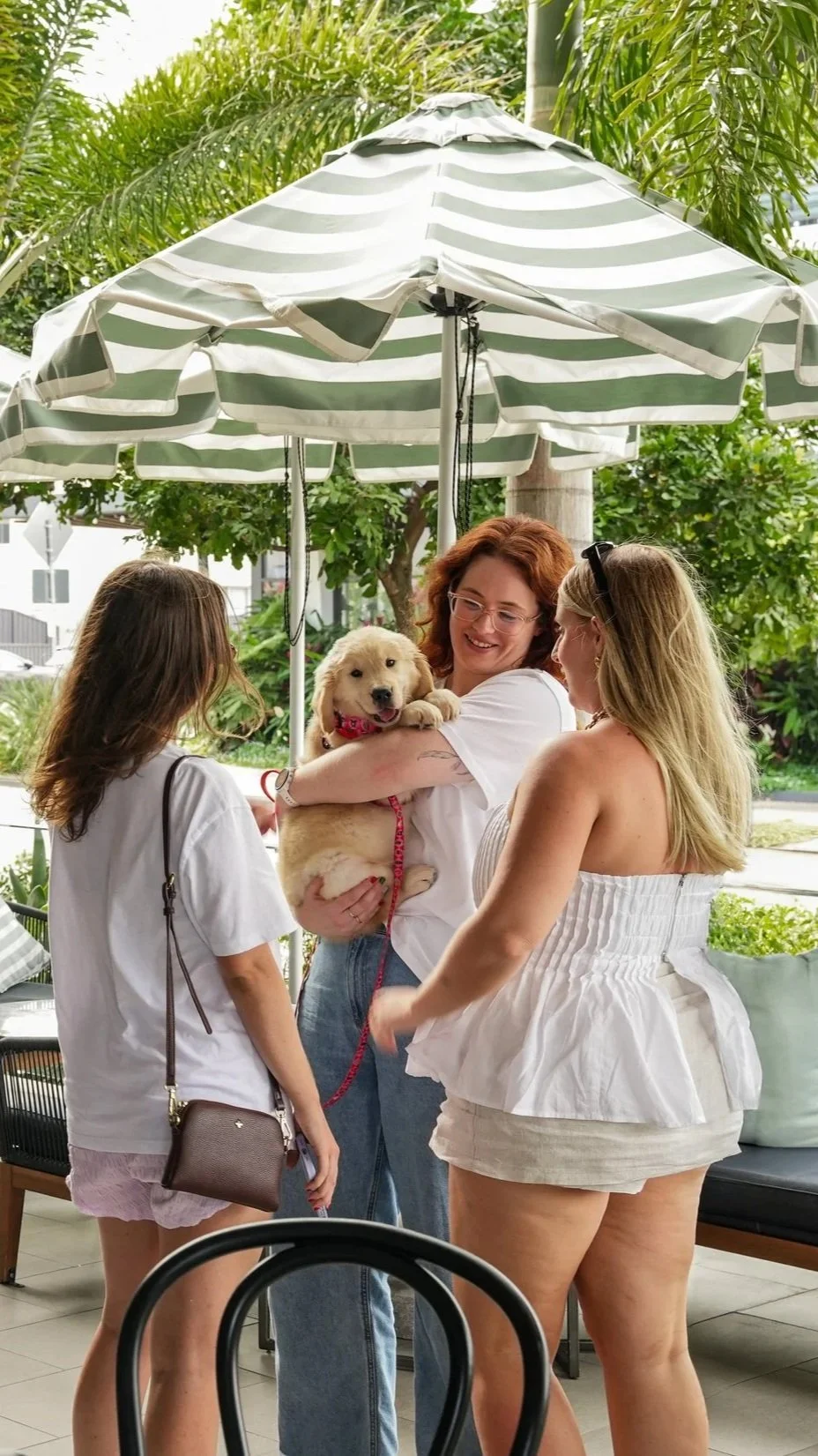 Three women and a puppy at an outdoor cafe under a striped umbrella, with greenery in the background.