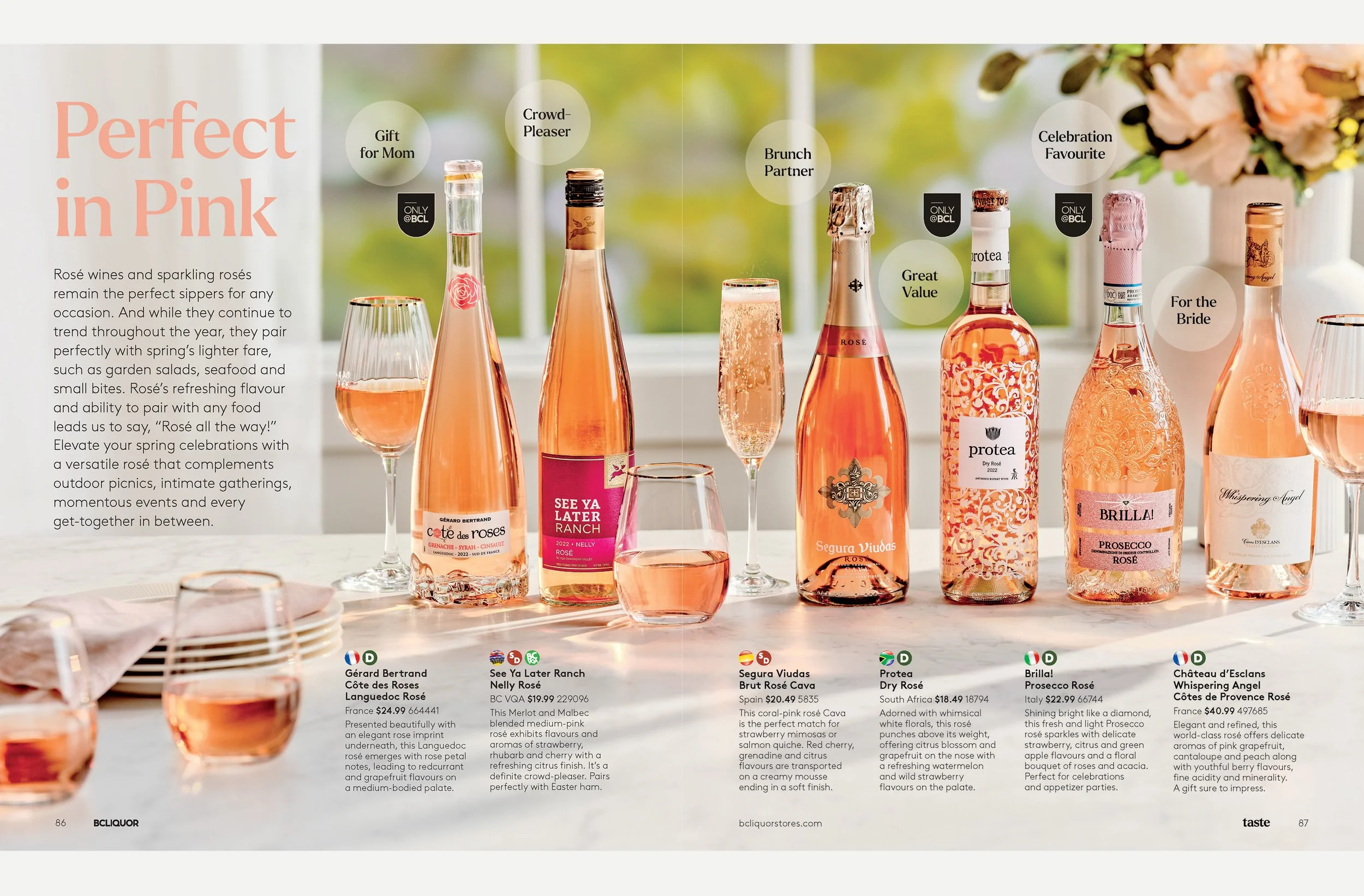 Spring 2024: Layered imagery and graphics creates interest and curiosity for readers.