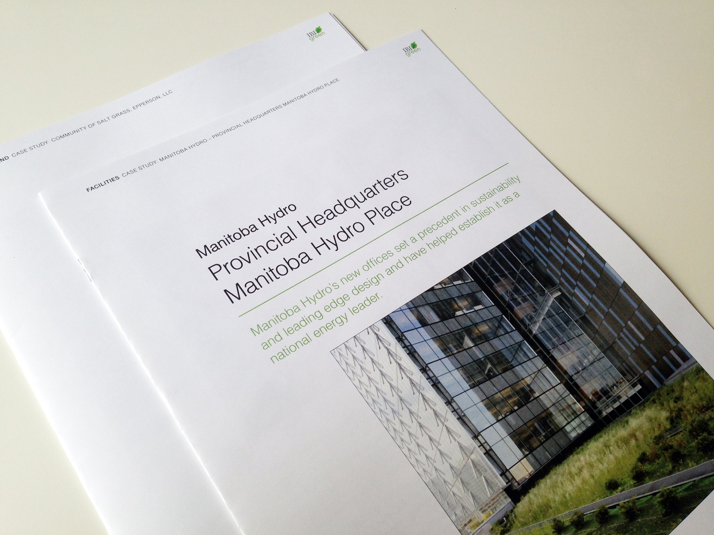 Supporting Document: Business Development Project Flyer Covers (supporting documents for proposals)