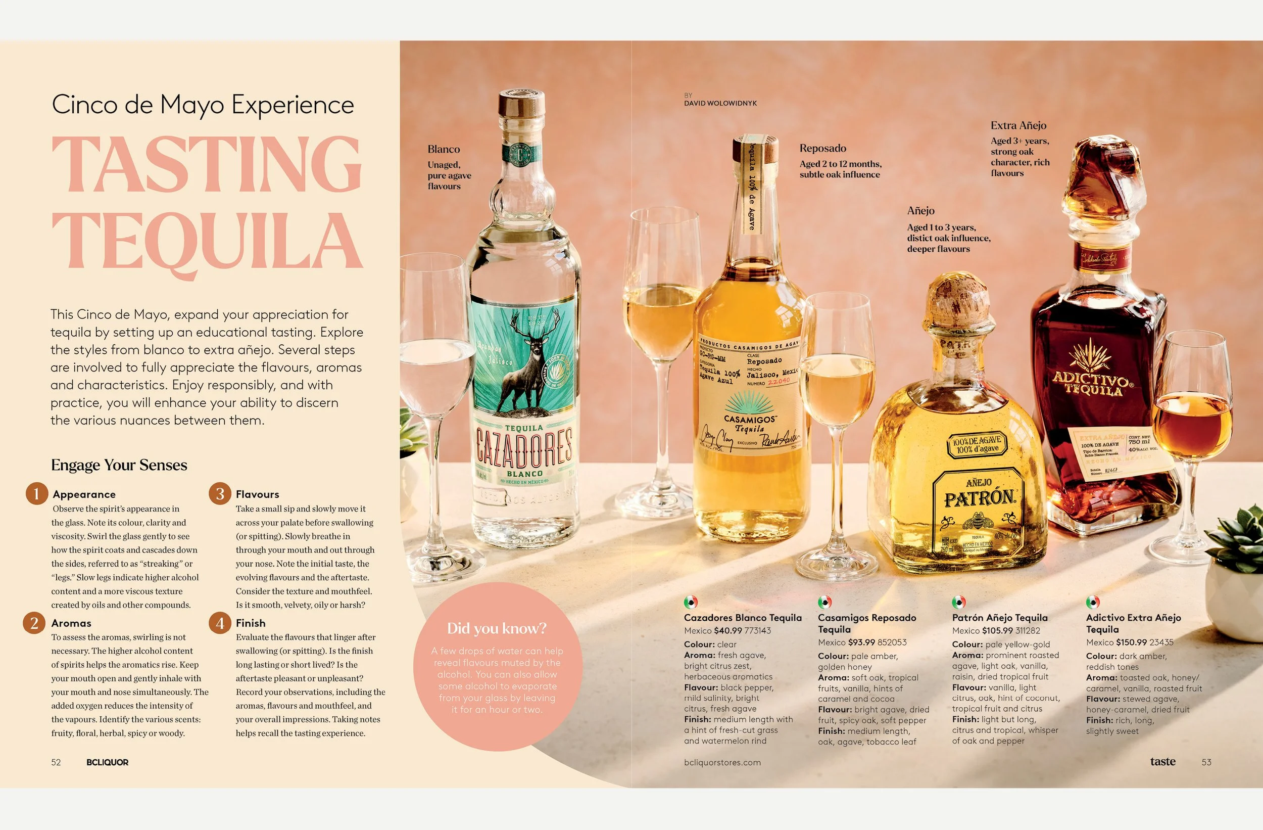 Spring 2024 – Sample ”Cinco de Mayo Experience”: A fun and informational 'How To' feature.