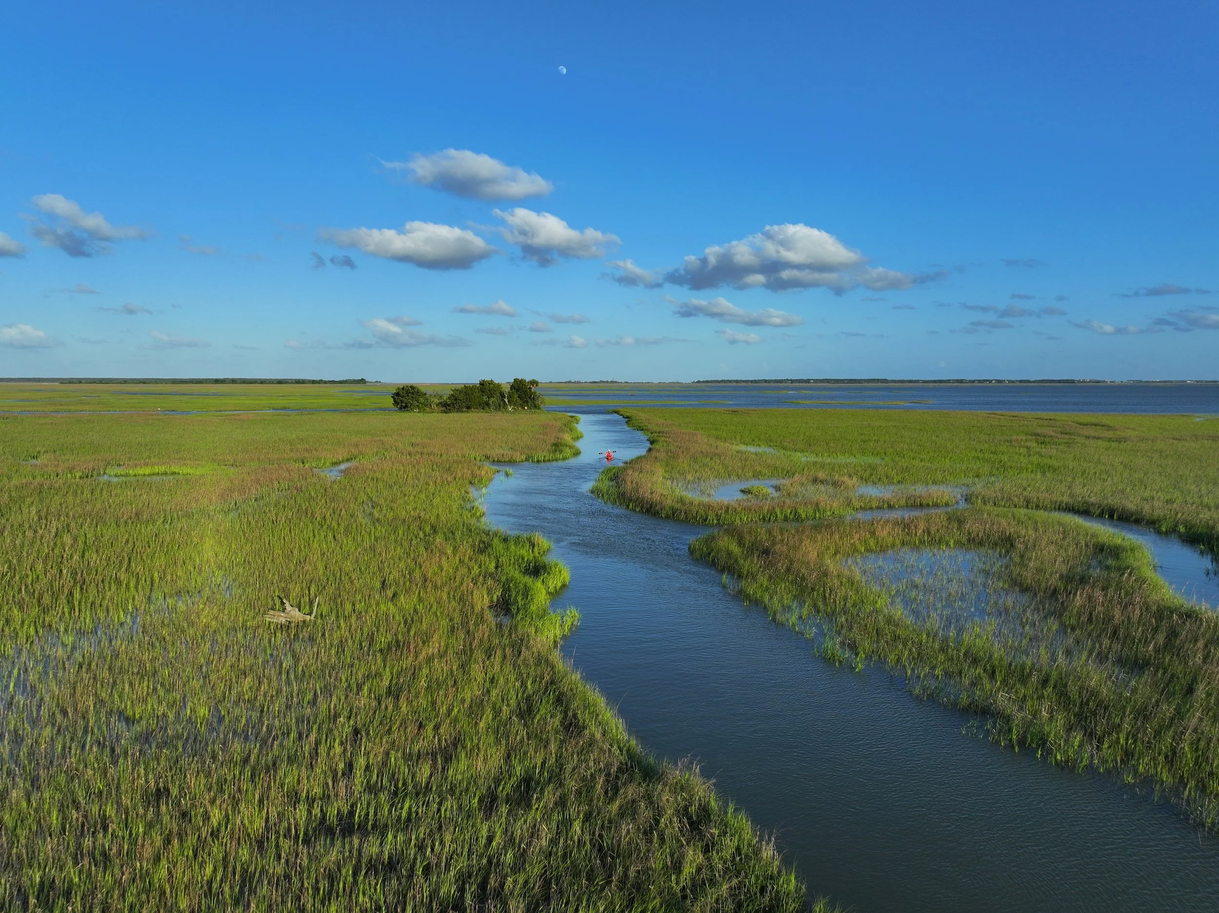 The Palm Social Team Is Expanding to Better Serve Charleston Brands