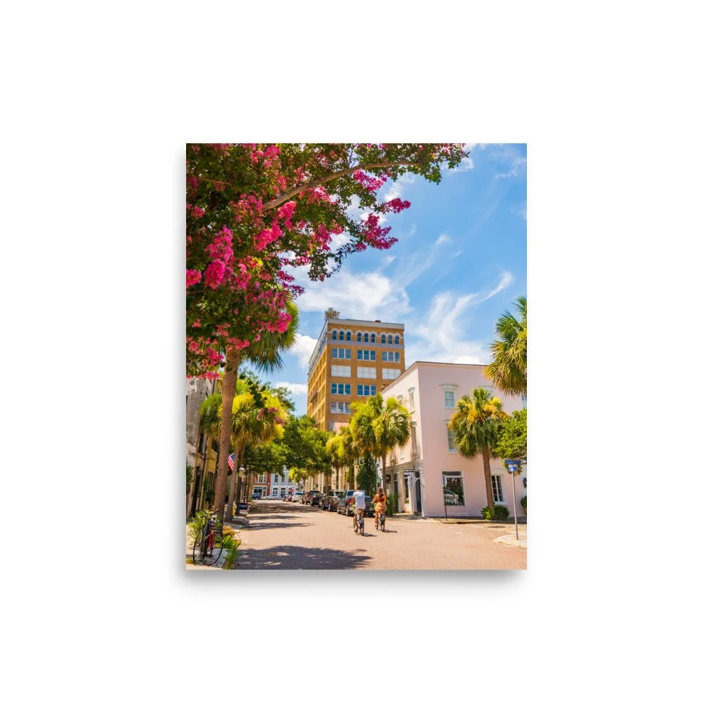 Charleston SC street lined with blooming crape myrtle trees - fine art photography print by Palm Social