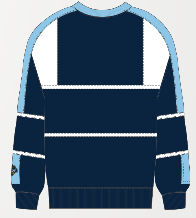 Panelled HoodieBack.png