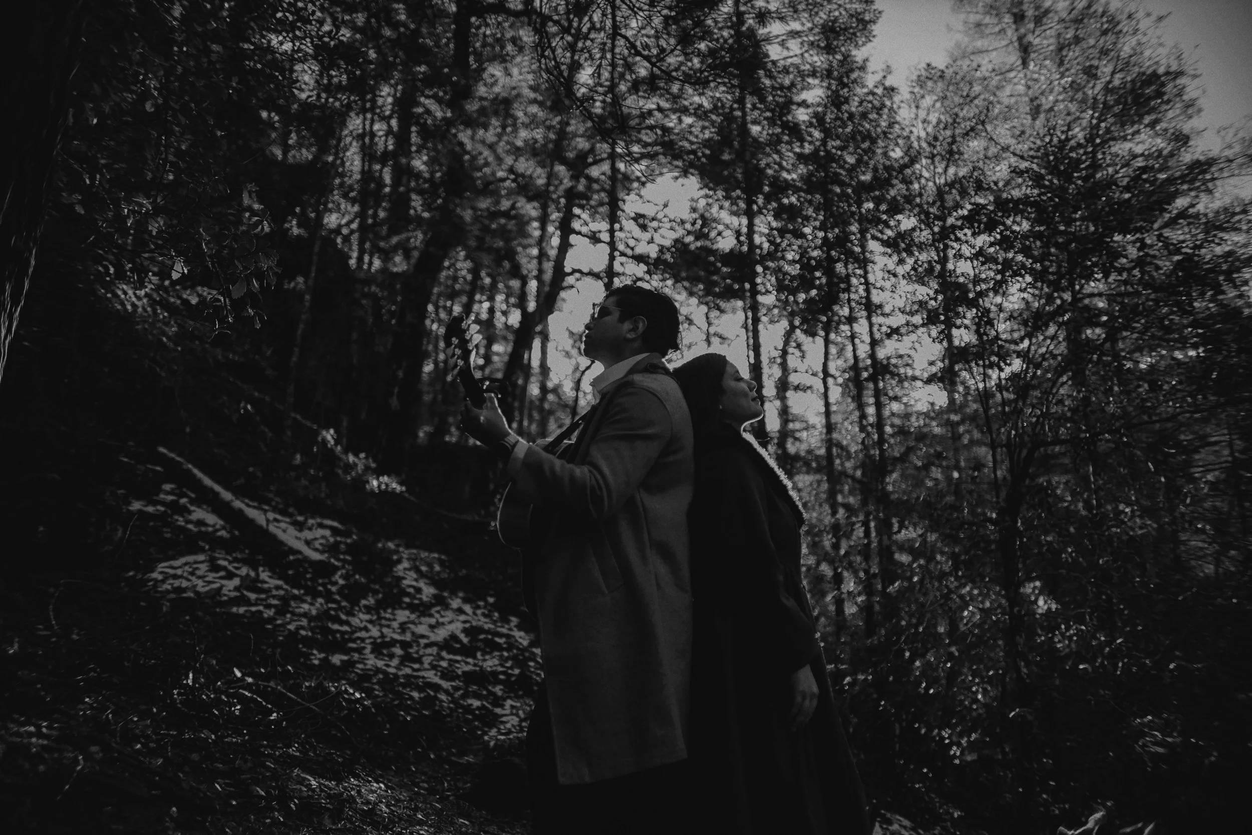 IMG_9776 copia (4k).jpg