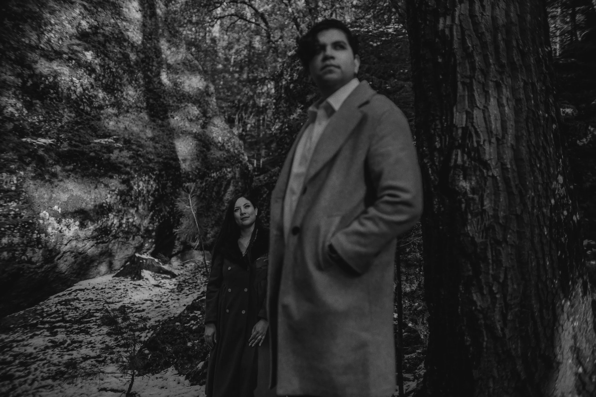 IMG_9745 copia (4k).jpg