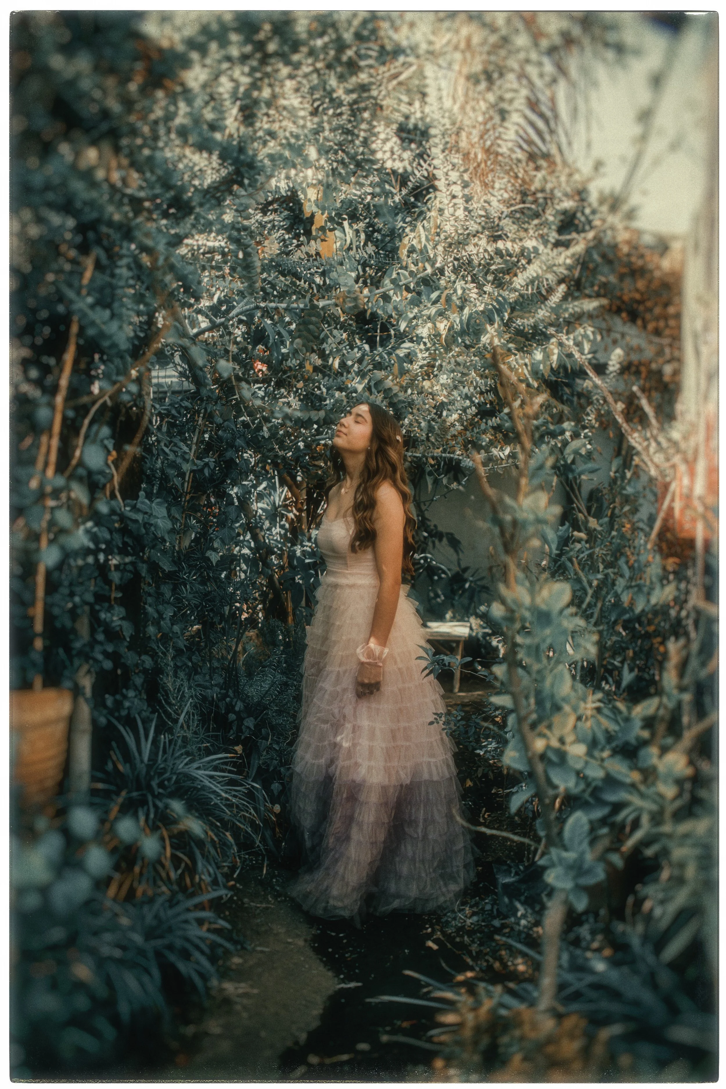 IMG_3191 copia (4k).jpg