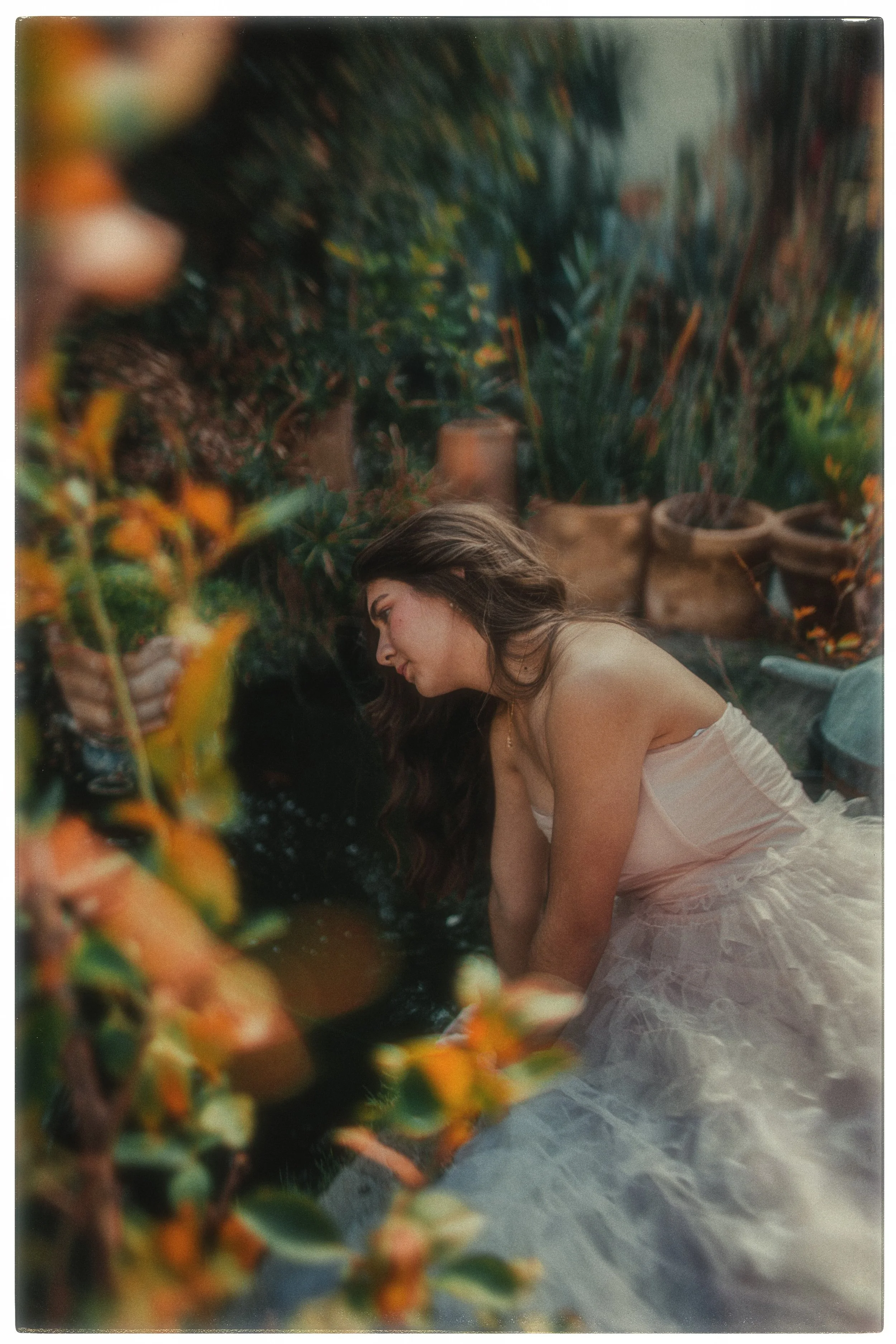 IMG_3705 copia (4k).jpg