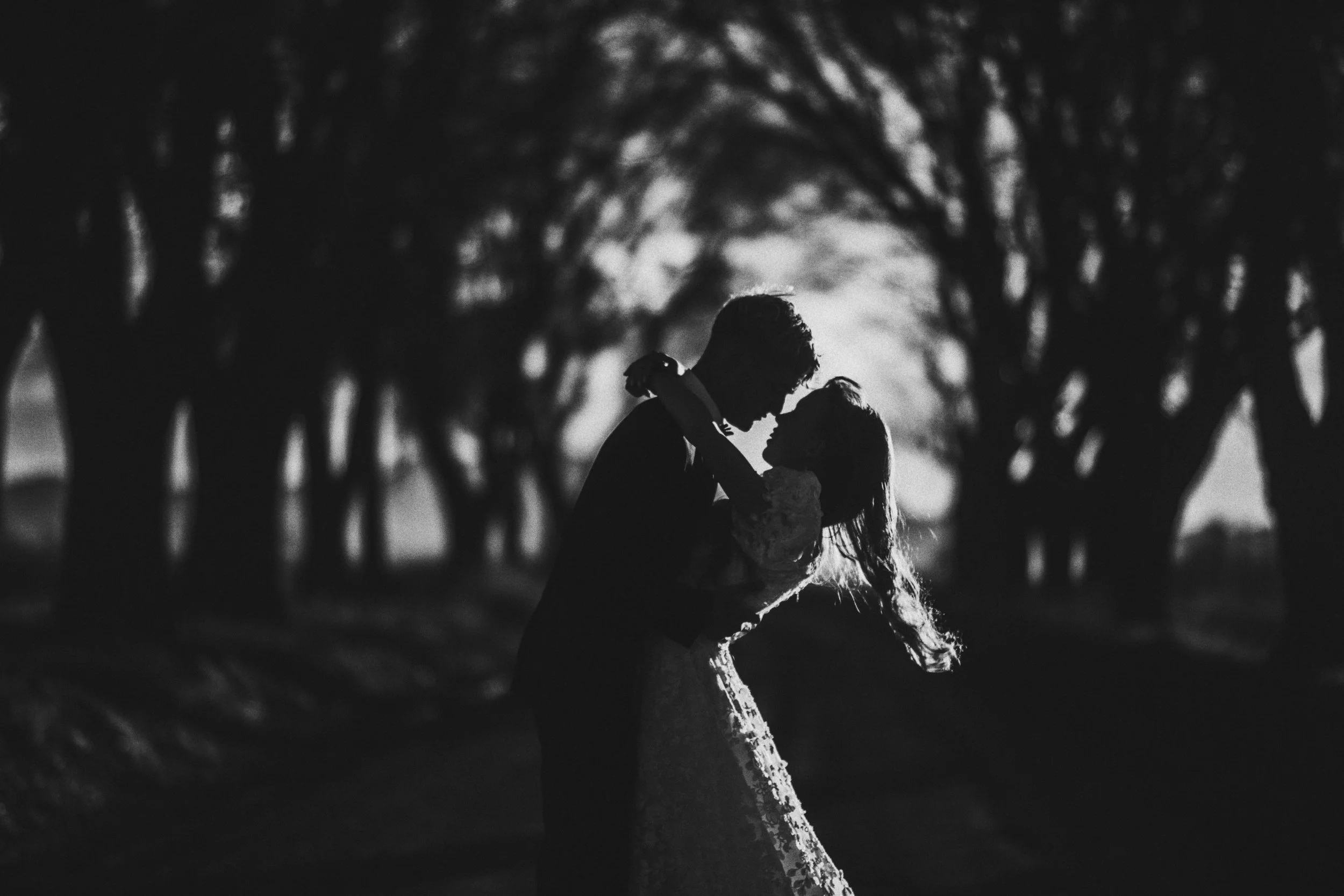 trash the dress en chihuahua