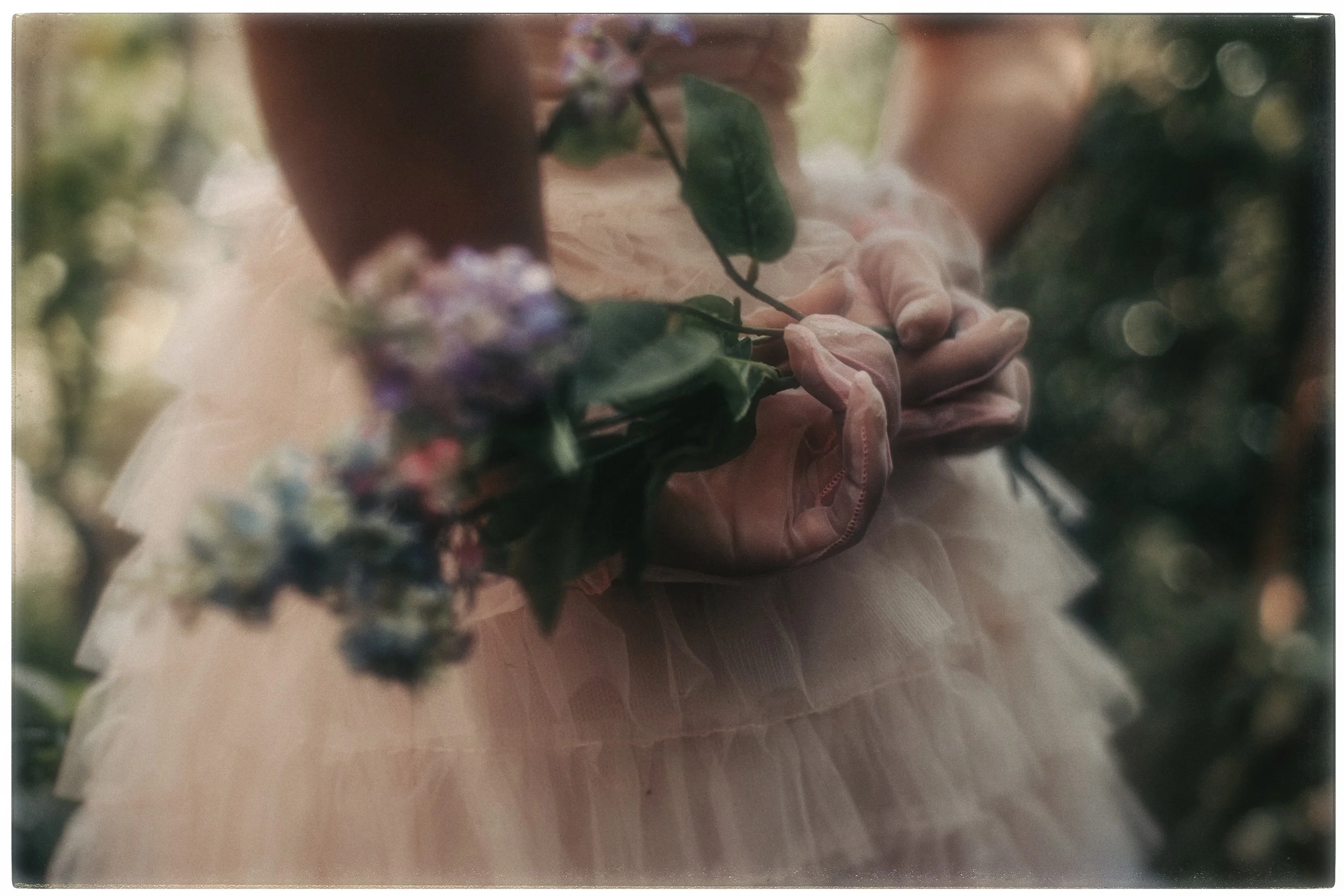 IMG_3299 copia (4k).jpg