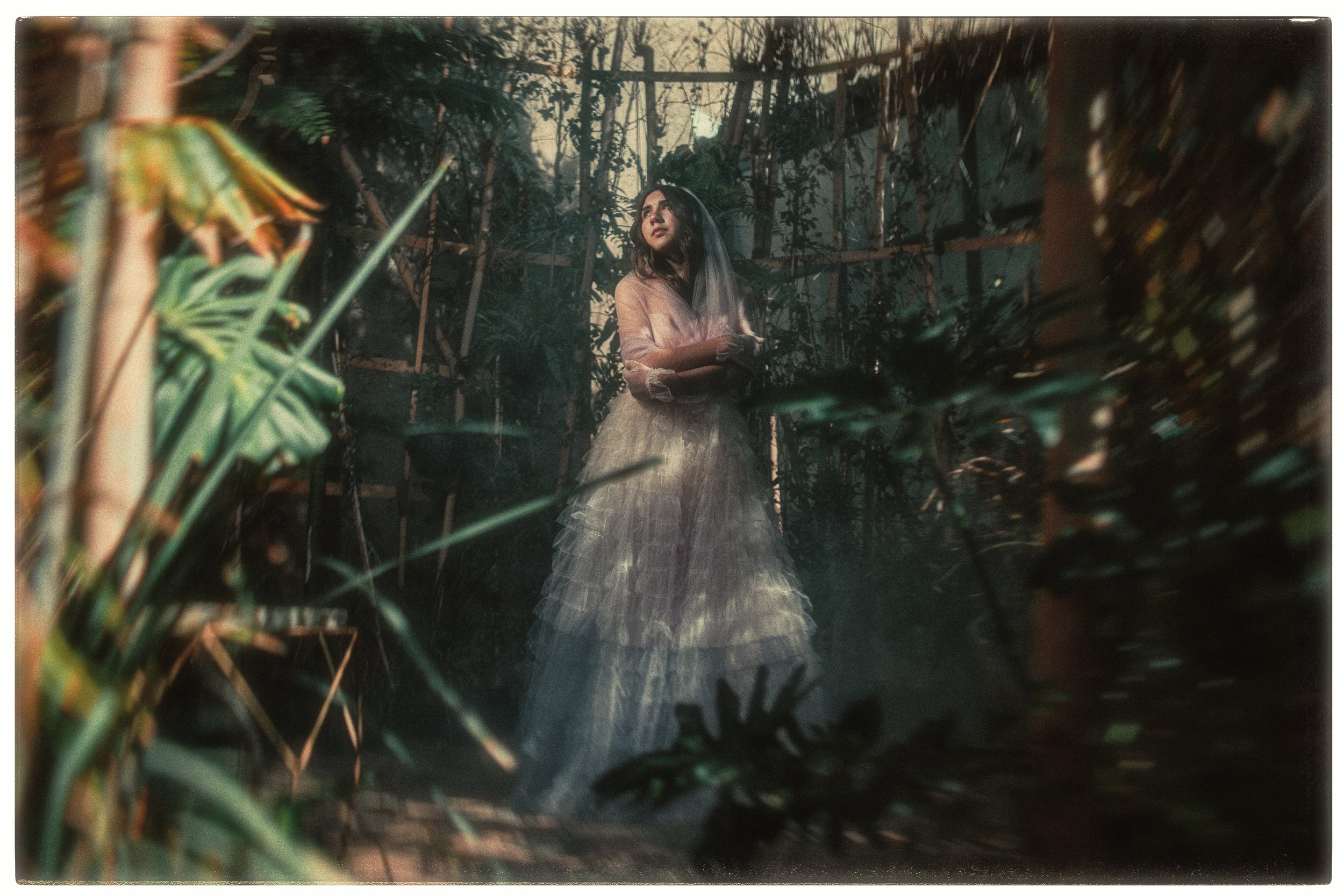 IMG_3555 copia (4k).jpg