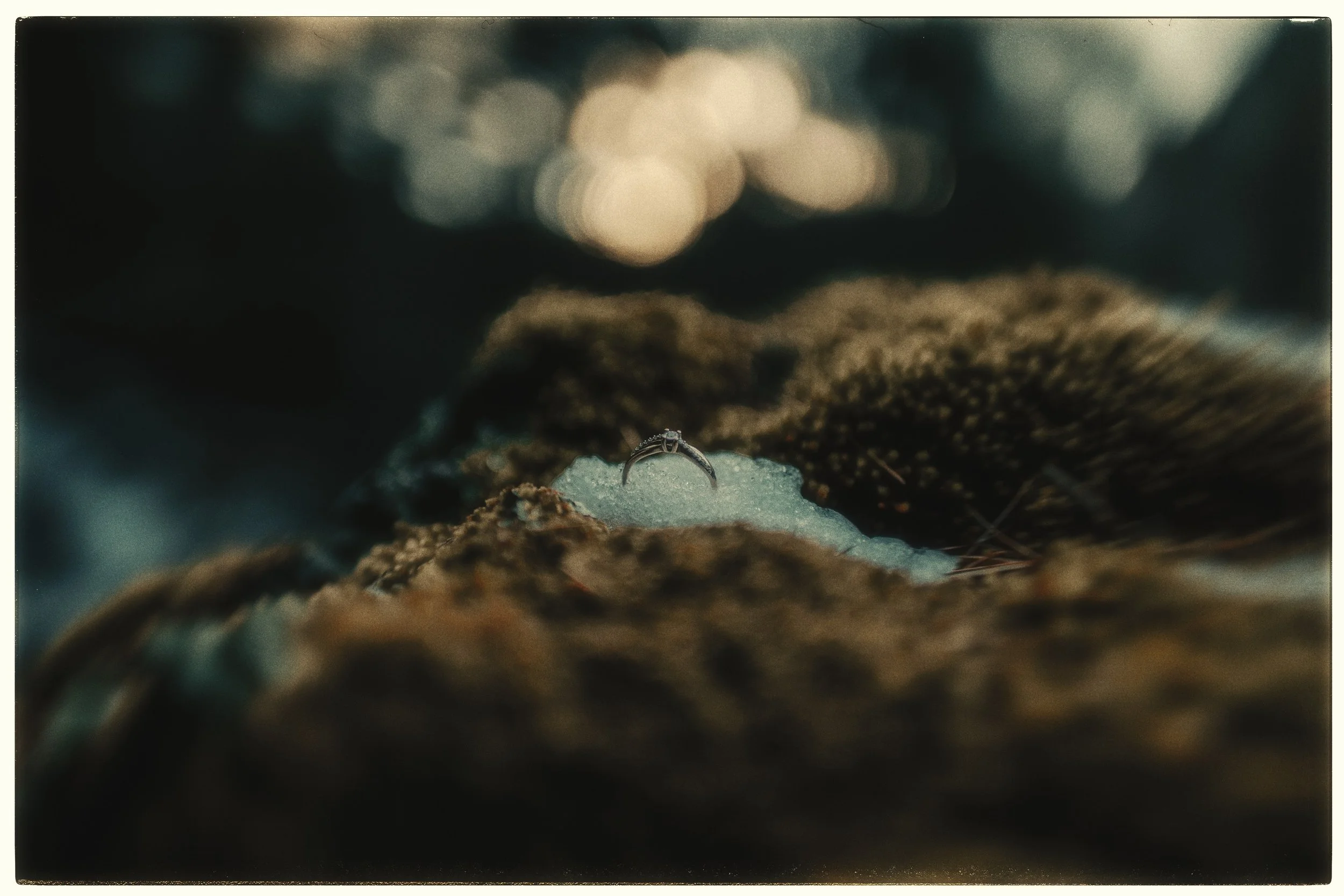 IMG_9811 copia (4k).jpg