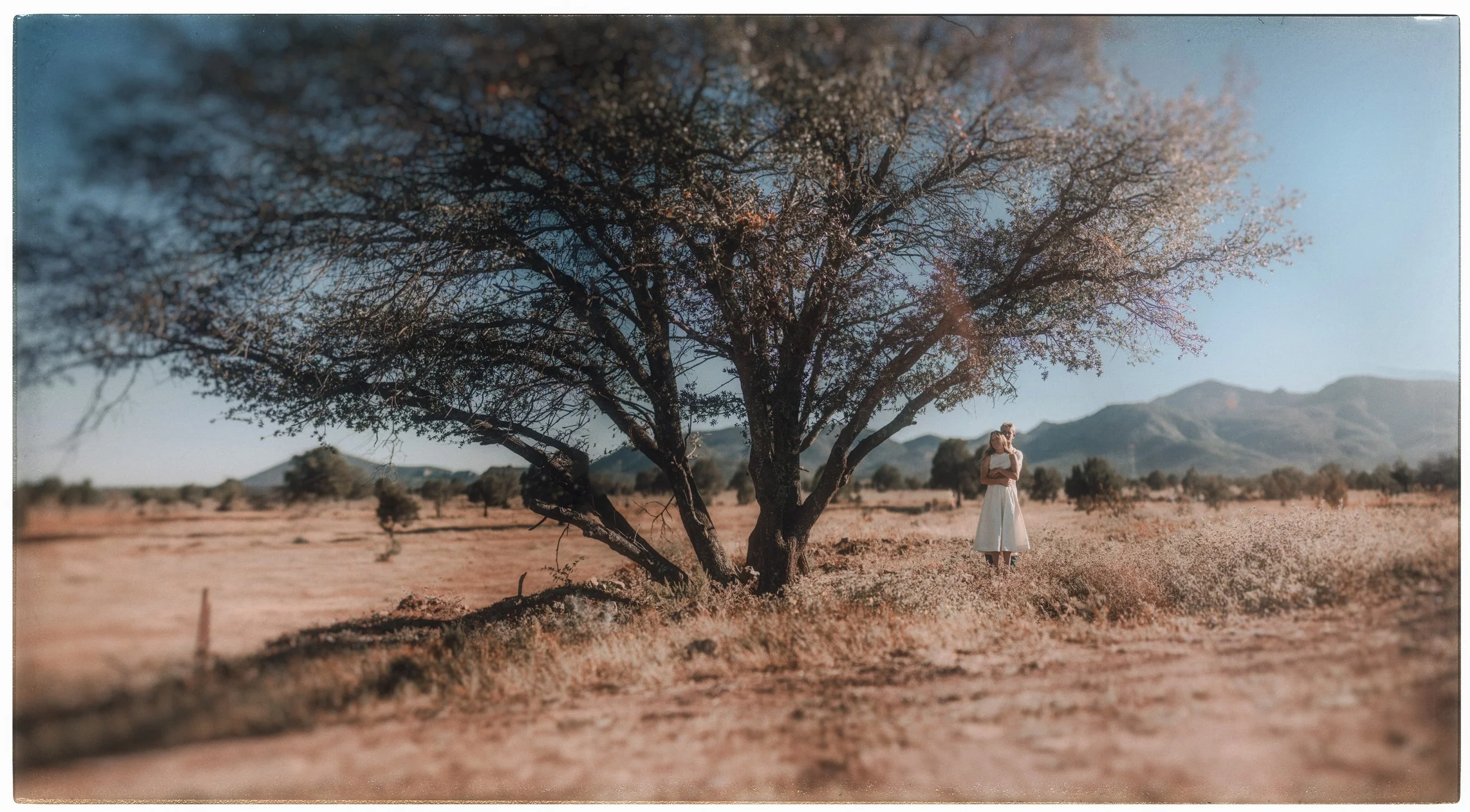 Panorama_sin_título-1 (4k).jpg