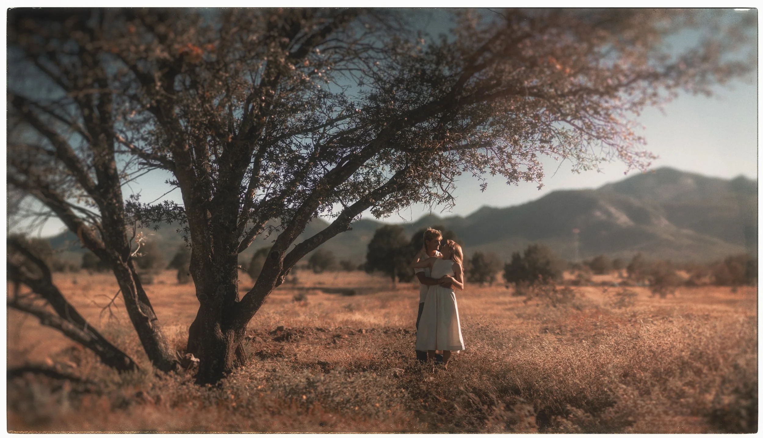 Panorama_sin_título-2 (4k).jpg