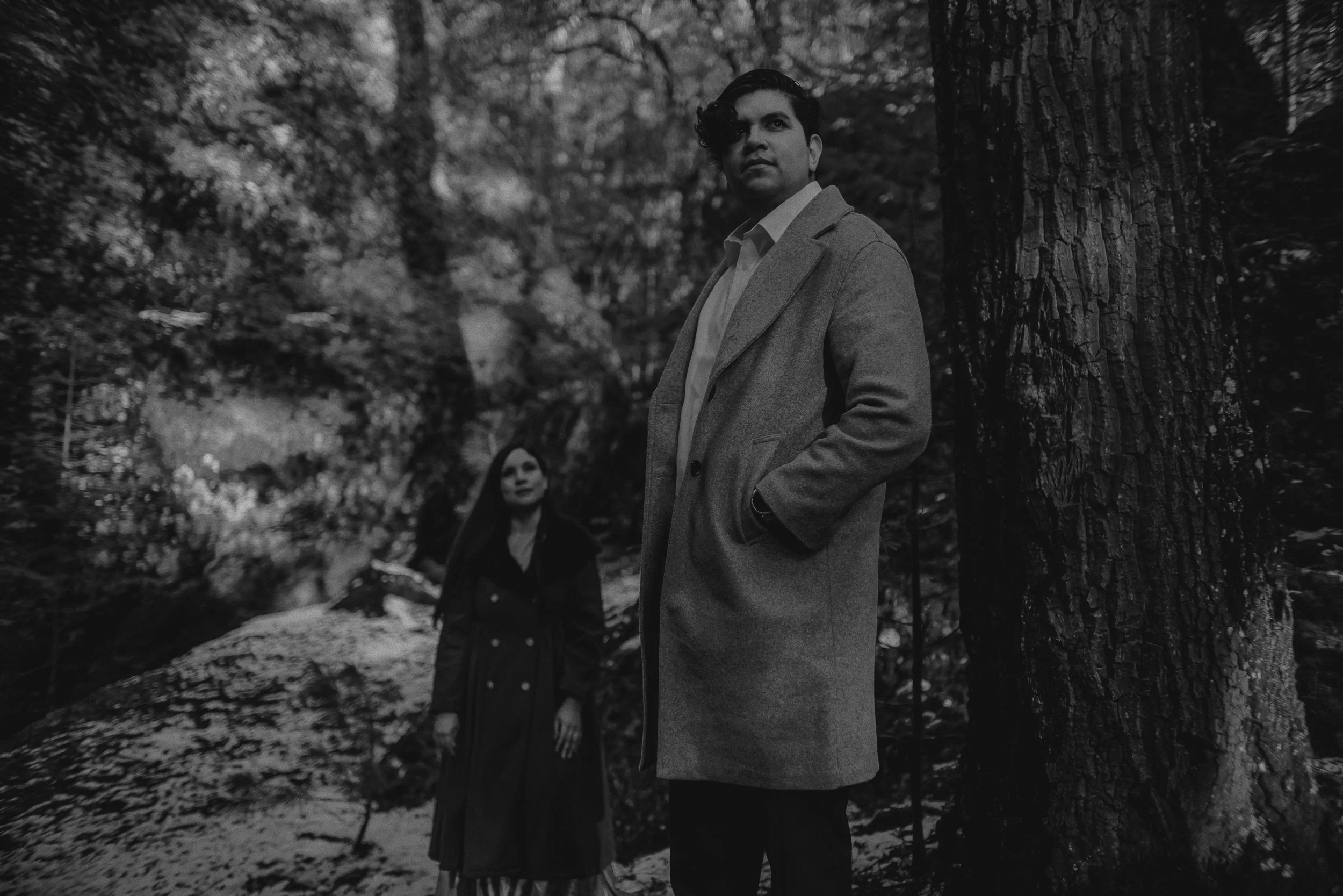 IMG_9749 copia (4k).jpg