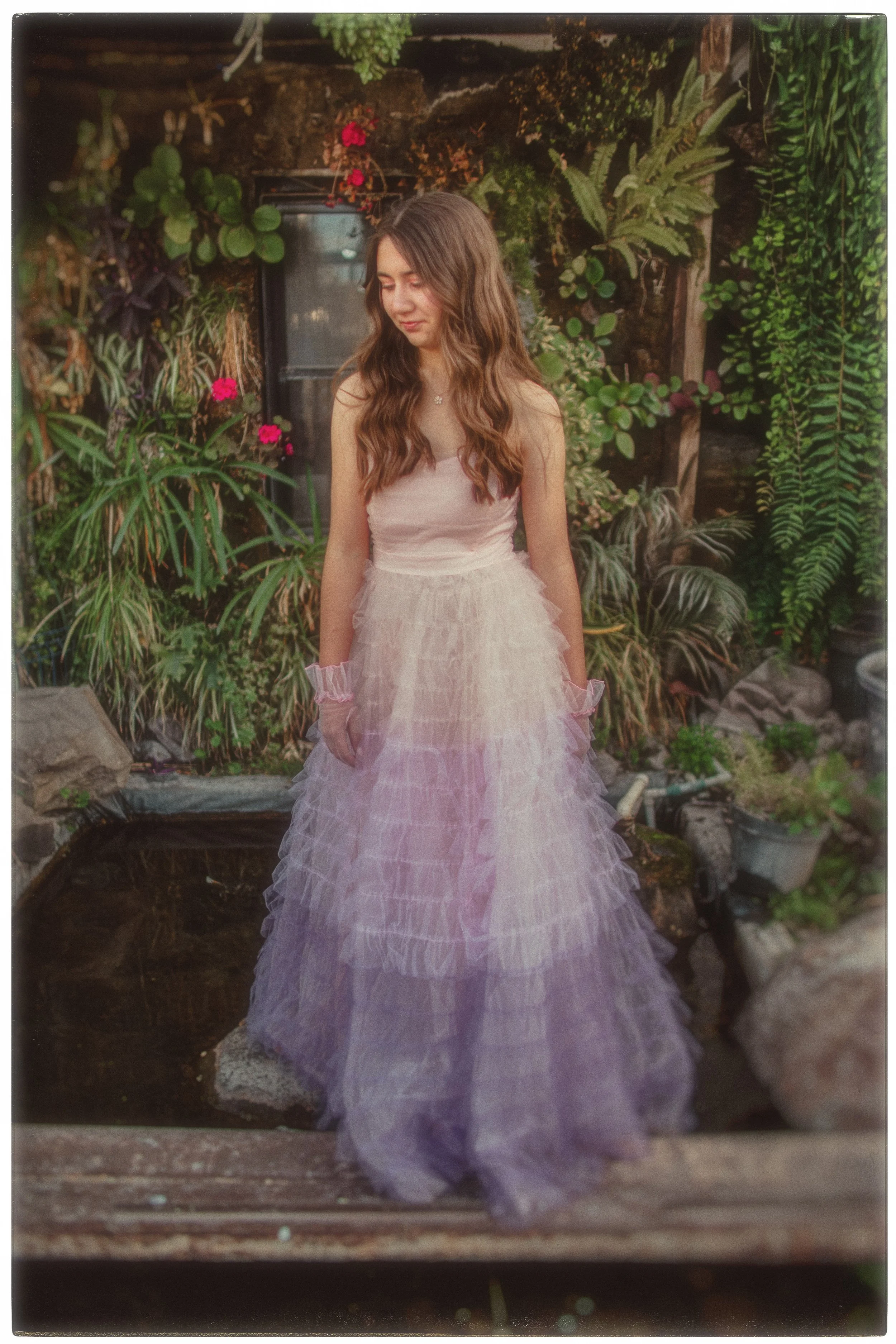 IMG_3732 copia (4k).jpg