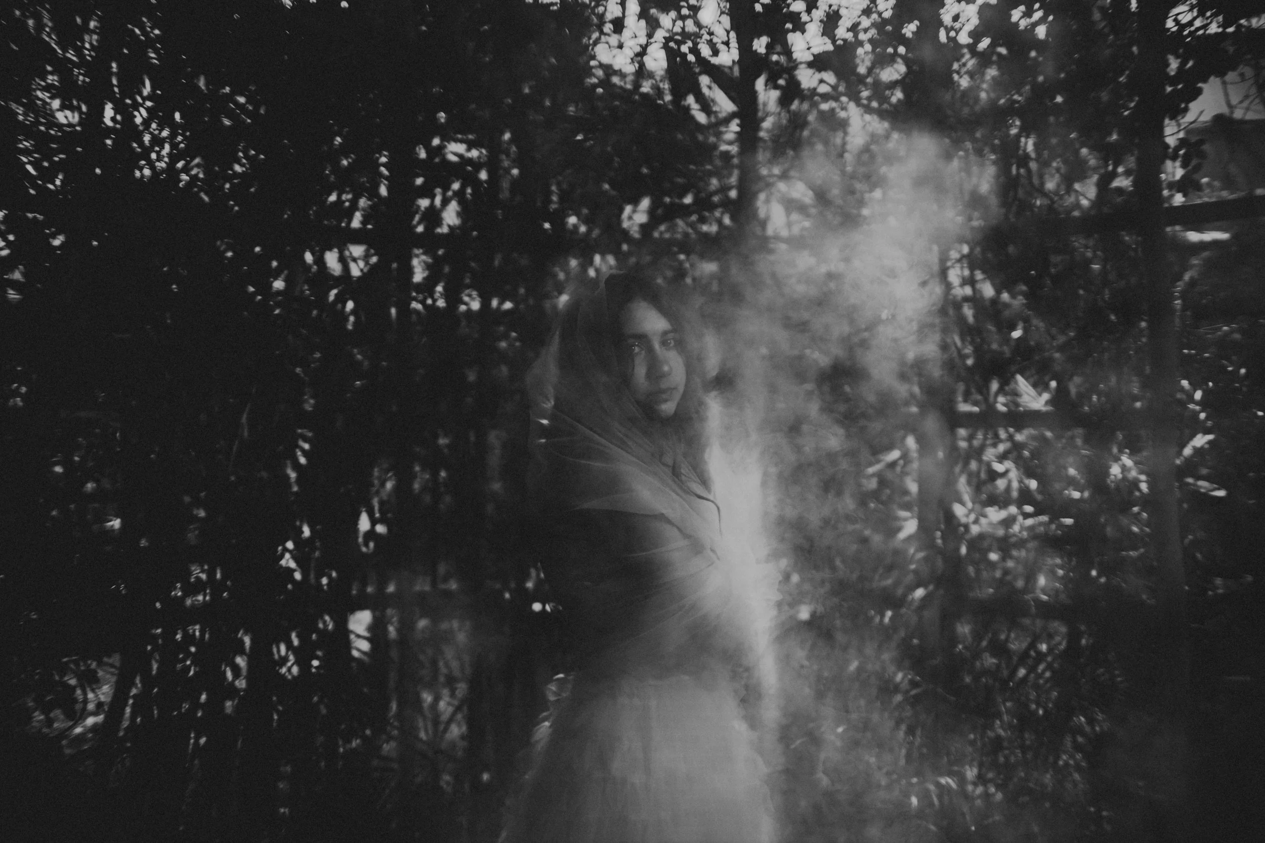 IMG_3558 copia (4k).jpg