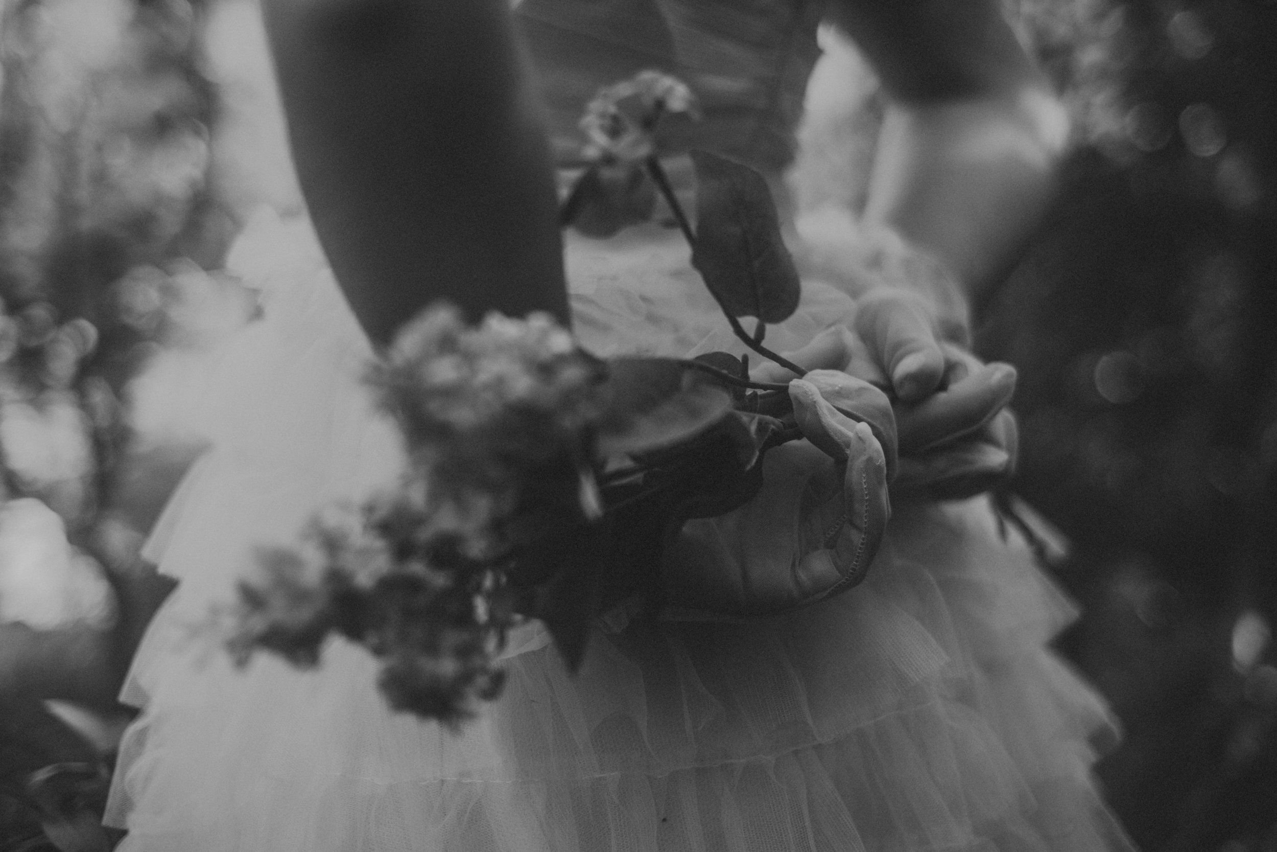 IMG_3300 copia (4k).jpg