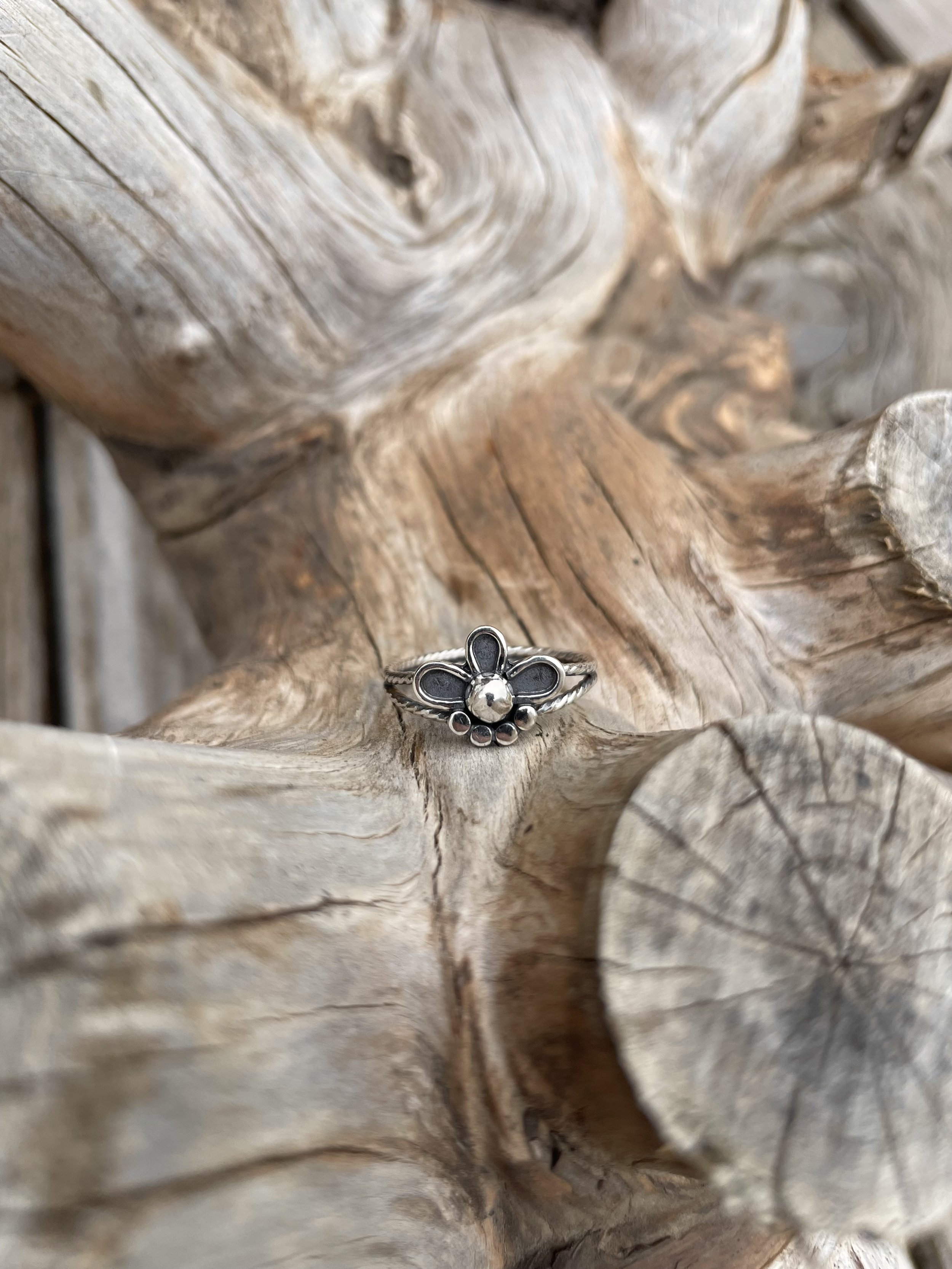 Western Flower Twisted Band