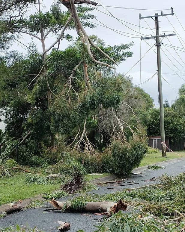 There&rsquo;s a new article on the website about Alfred&rsquo;s impact of Ex. TC Alfred on Coochiemudlo Island during March 2025.
 Residents were without power for days, with many enduring the blackout for 7 days. Fallen trees were a major issue.
Ene