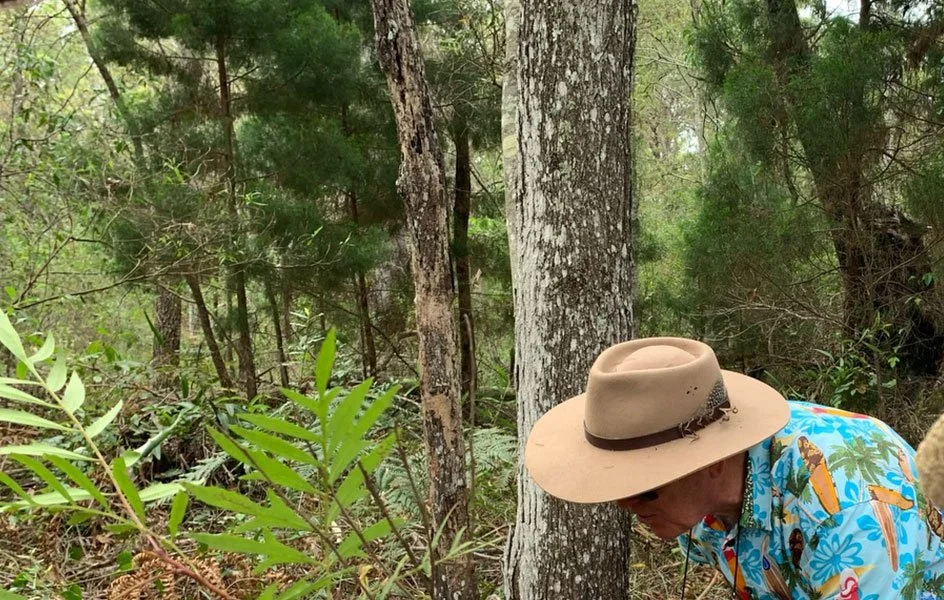 Bushcare Pop-up Weed ID Workshop — Melaleuca Wetlands