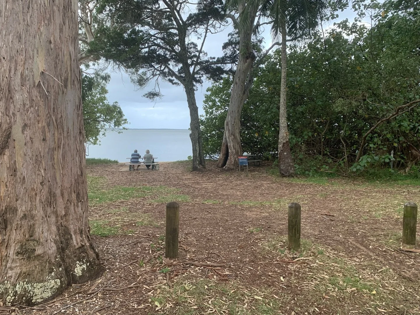 Morwong Beach is evening.
Moody grey, a few drops of rain and autumn in the air, just.
Stunning, serene. On this side of the island, anyway! 
Gusty wind picking up elsewhere.

#coochimudloisland #autumintheair