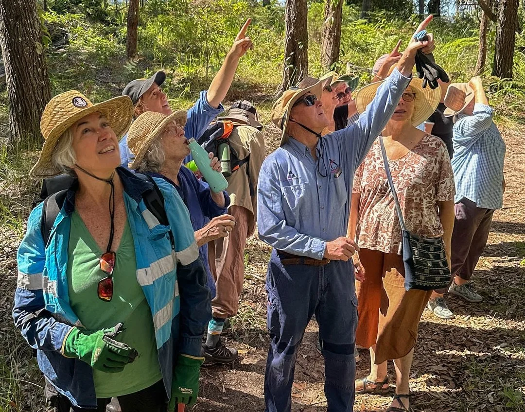 Last Saturday delivered one of those delightful autumn days on the Bay for Coochiemudlo Bushcare&rsquo;s Melaleuca Morning Walk. Ten locals and ten visitors took to the Wetlands Track for some plant gazing and bird watching - highlighted by the noisy