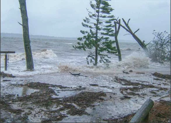 Thrashing waves high above the shoreline on Norfolk Beach during Ex Tropical Cyclone Oswald in 2013