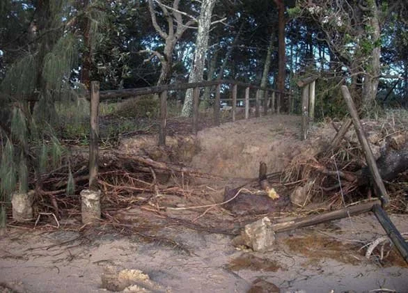 Damage to the pathway onto Norfolk Beach with debri from fallen trees and fences after Ex Tropical Cyclone Oswald in 2013