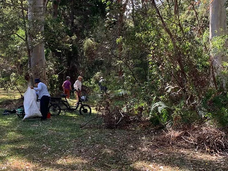 Bushcare’s Melaleuca Wetlands assisted regeneration project | Part 1