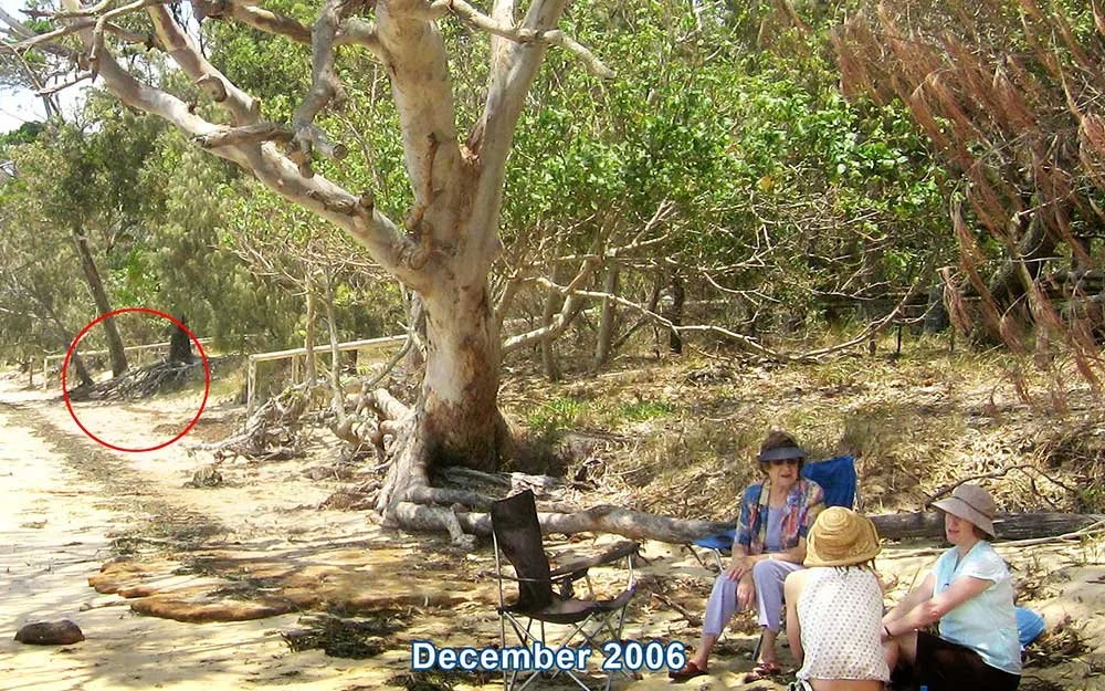 Three women sitting under a tree on the shoreline of Norfolk Beach in 2006.