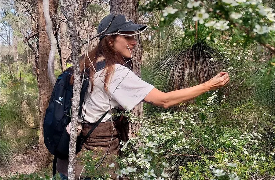 Melaleuca Wetlands Walk