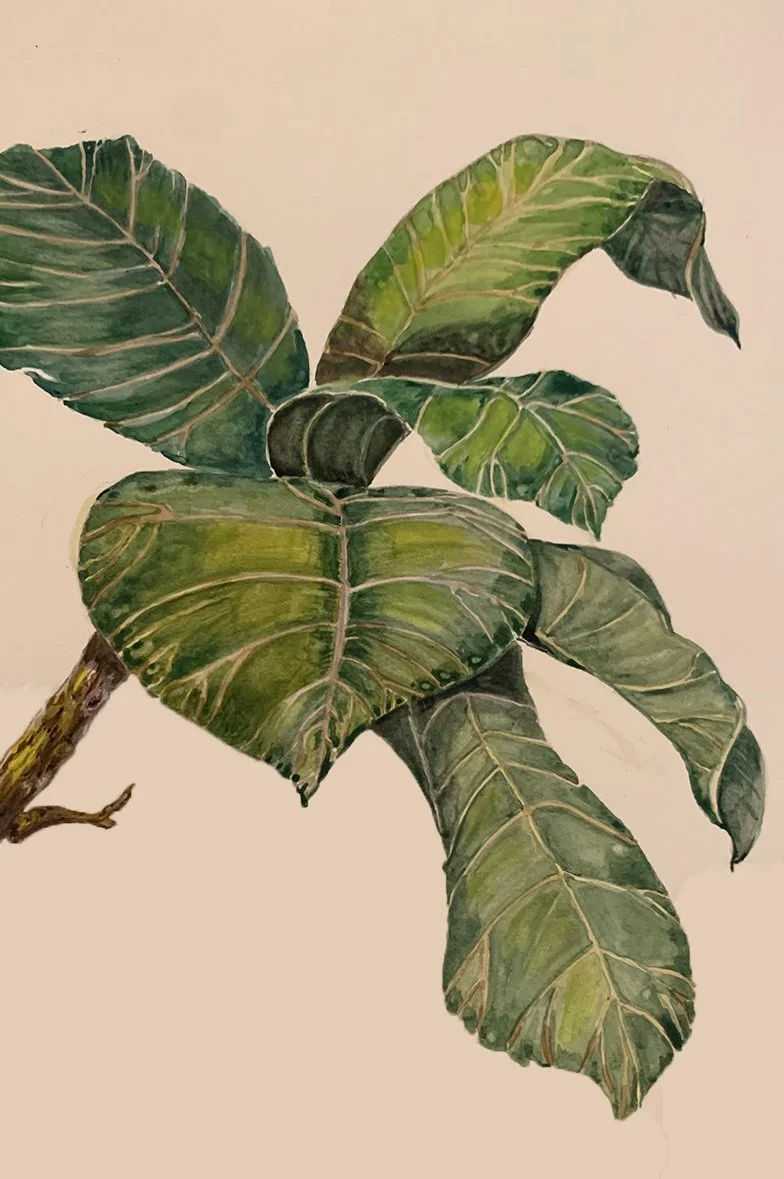 Ruth Tuxworth